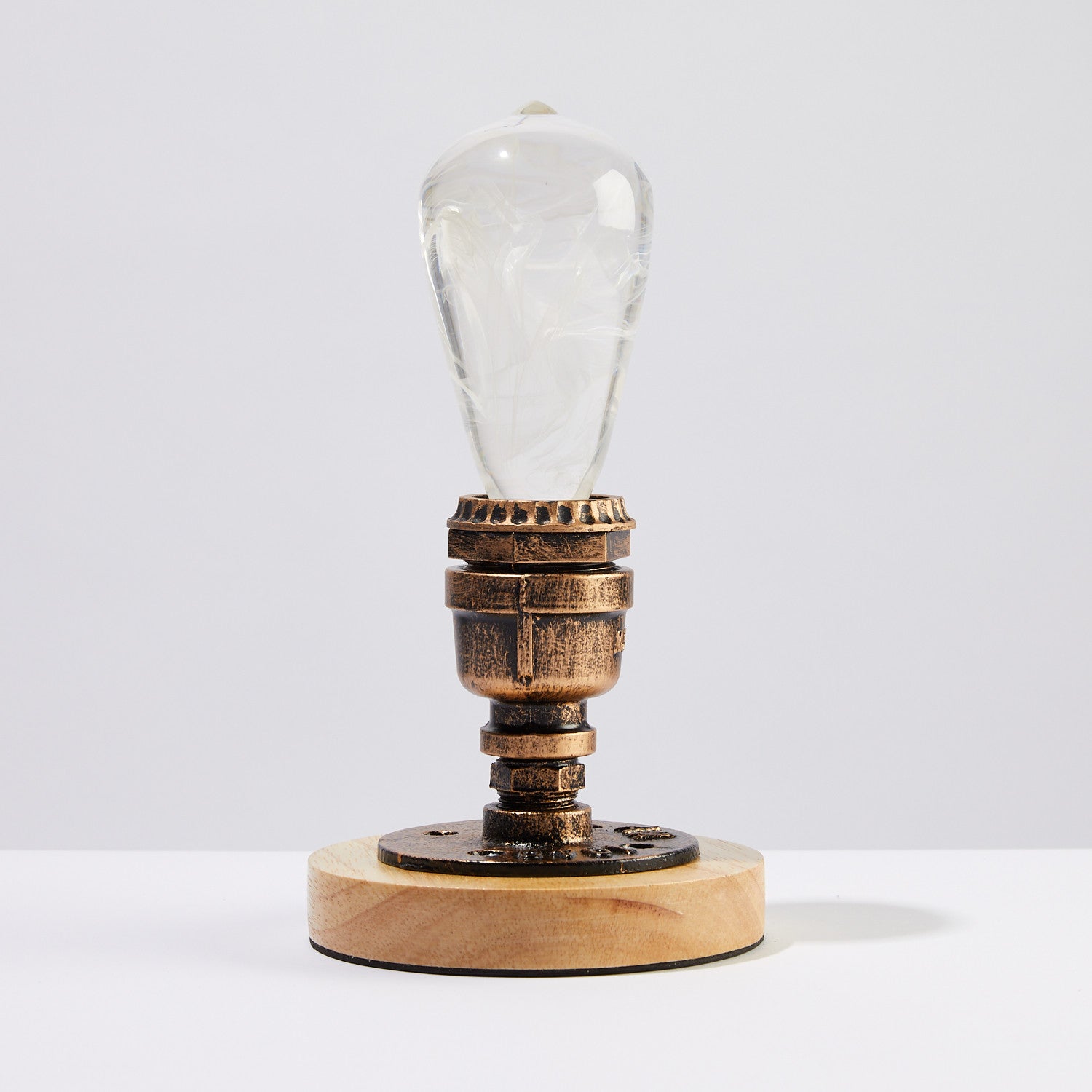 EP Light – Snow Decorative Resin LED Bulb