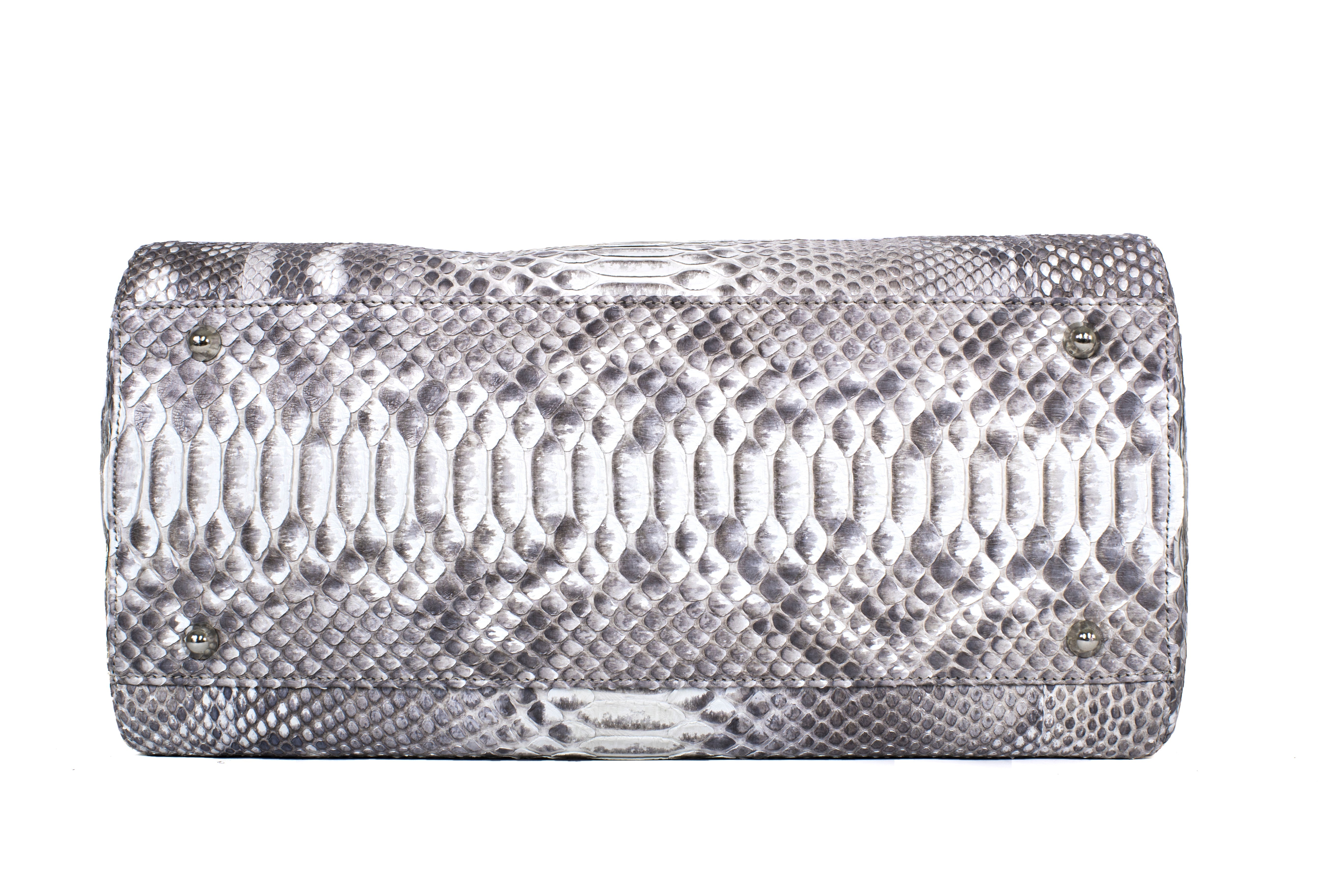 Large Scale Custom Python with Silver Snake Accessories by Allysa Payne Beverly Hills - product image 5 for Resin Society