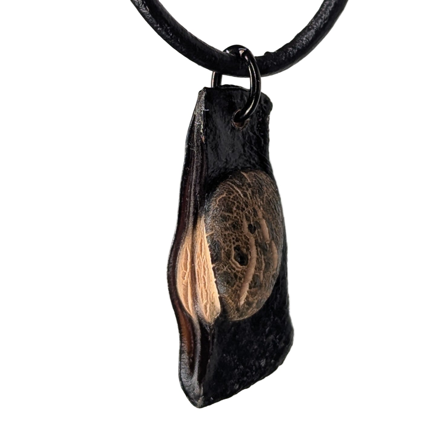 Sacronyx necklace pendant made from Pacific Ocean algae on natural leather cord, shown in close-up views highlighting its texture and shape.