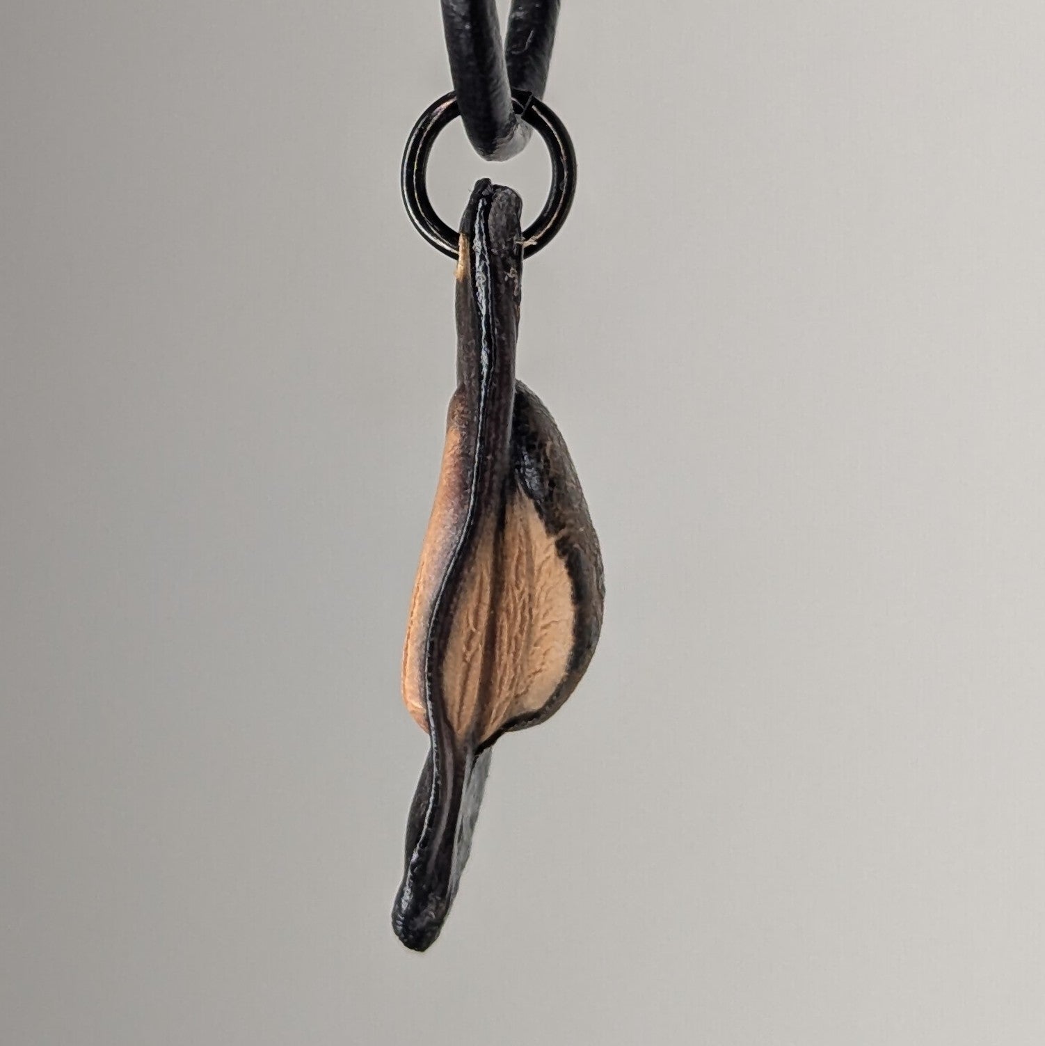 Sacronyx Necklace by Versiliy