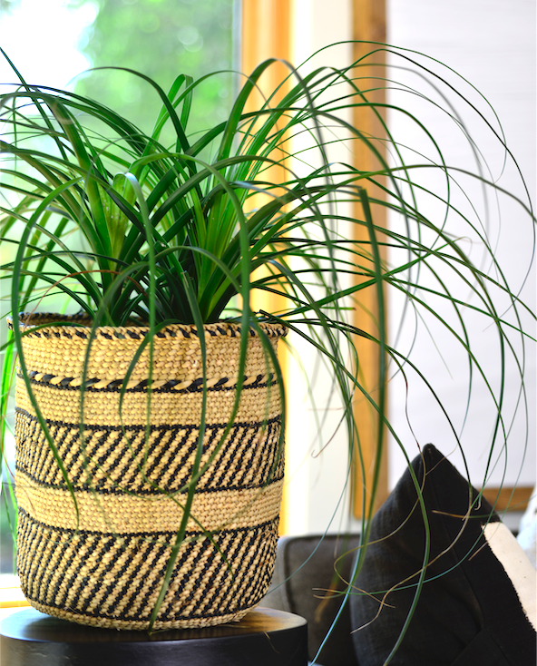 Natural African Iringa woven basket with Black Stripe by Mbare Ltd - product image 2 for Resin Society