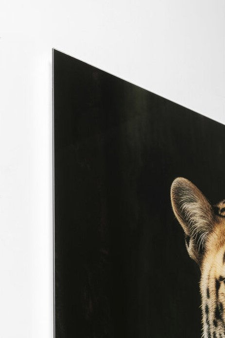Glass Picture Mister Leo 100x150cm