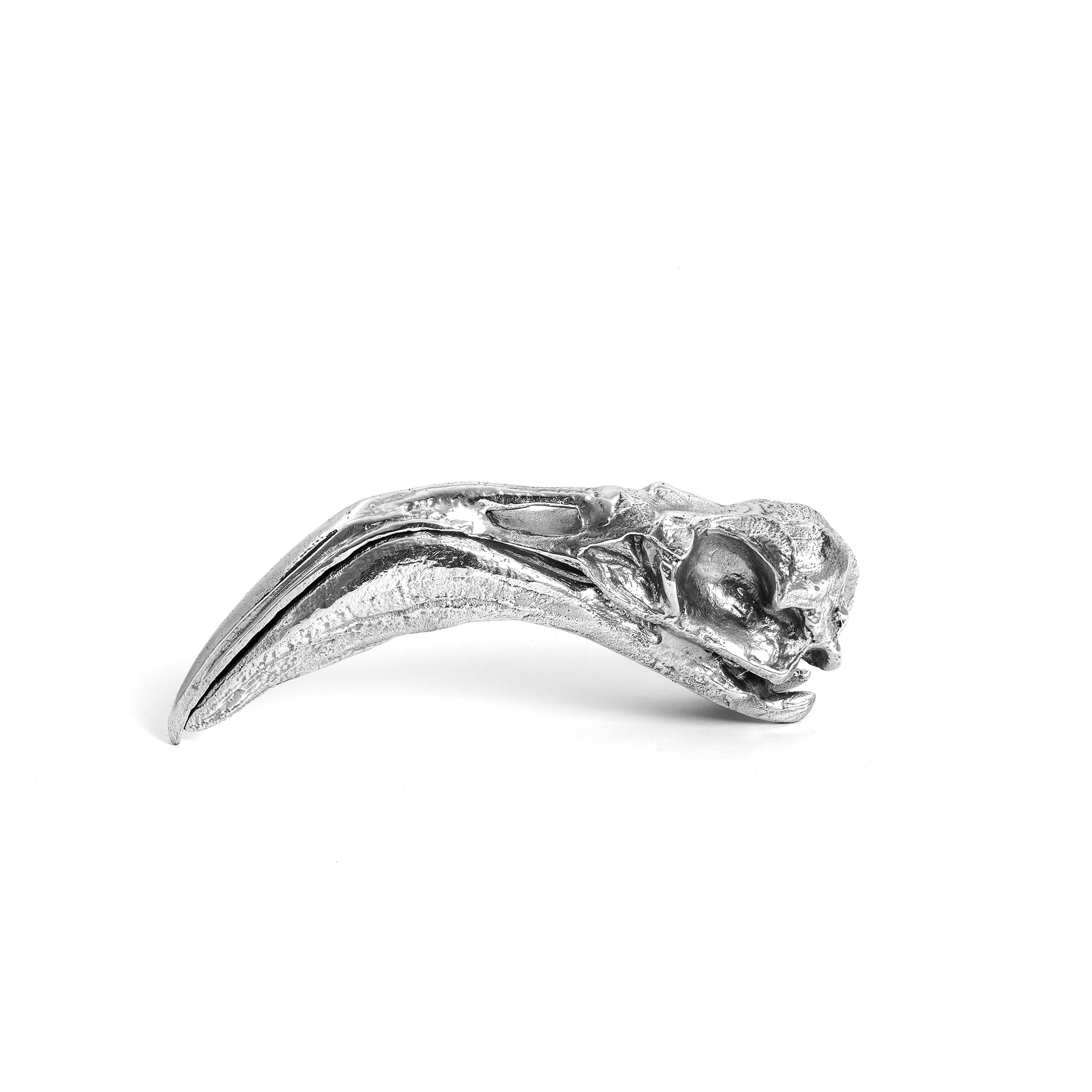 Wunderkammer Flamingo Skull by DEKOR - main product image for Resin Society