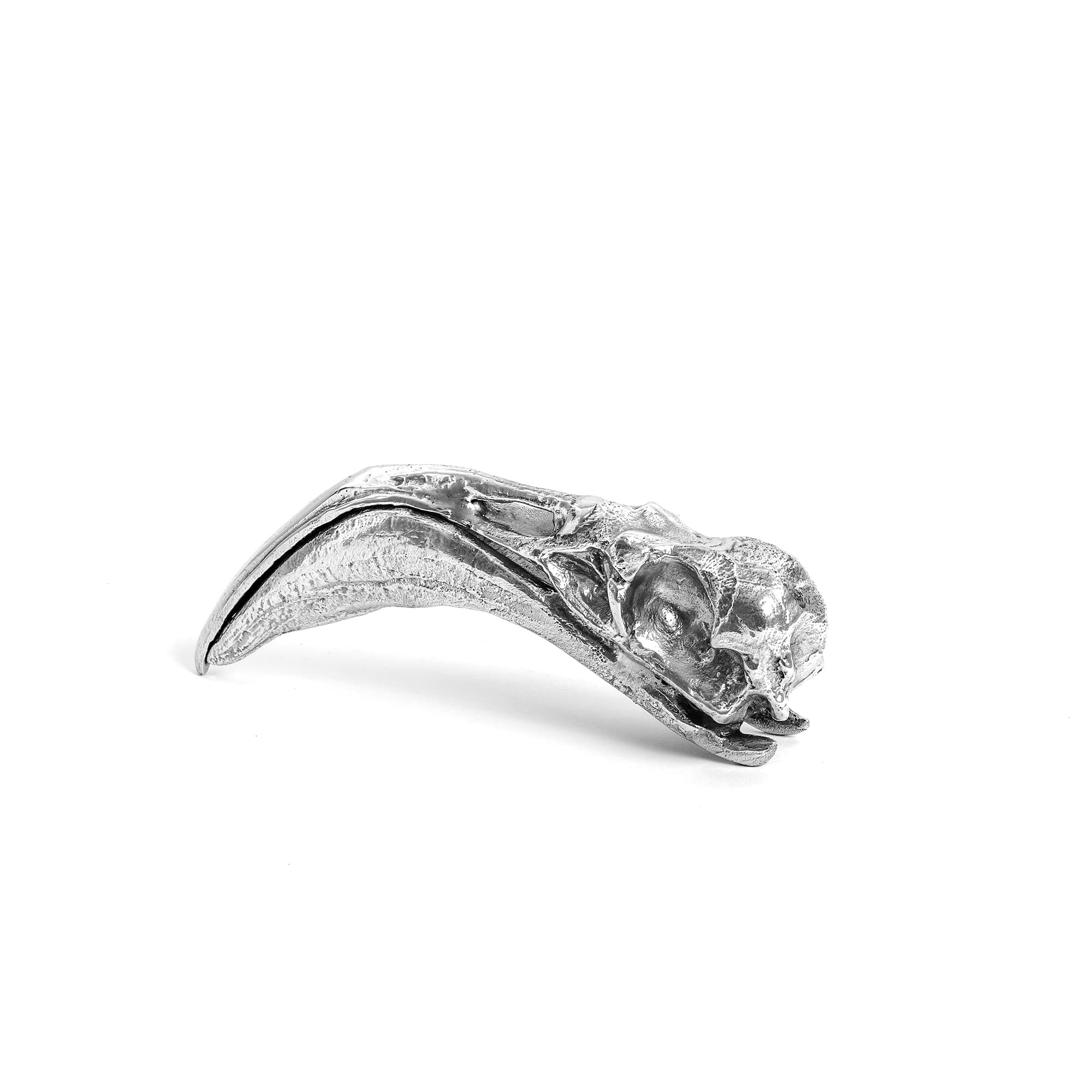 Wunderkammer Flamingo Skull by DEKOR - product image 2 for Resin Society