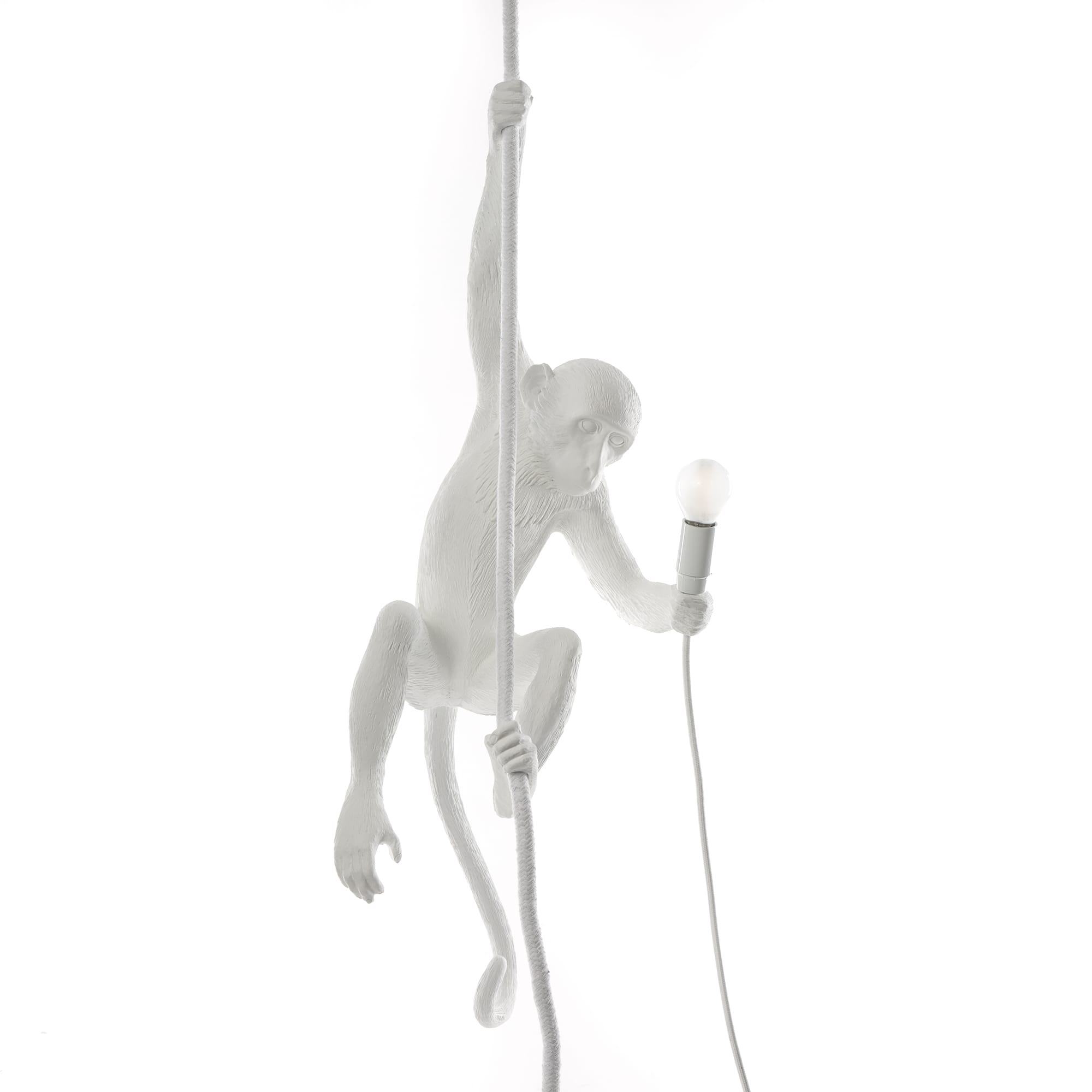 The Monkey Lamp Ceiling Version by DEKOR - main product image for Resin Society