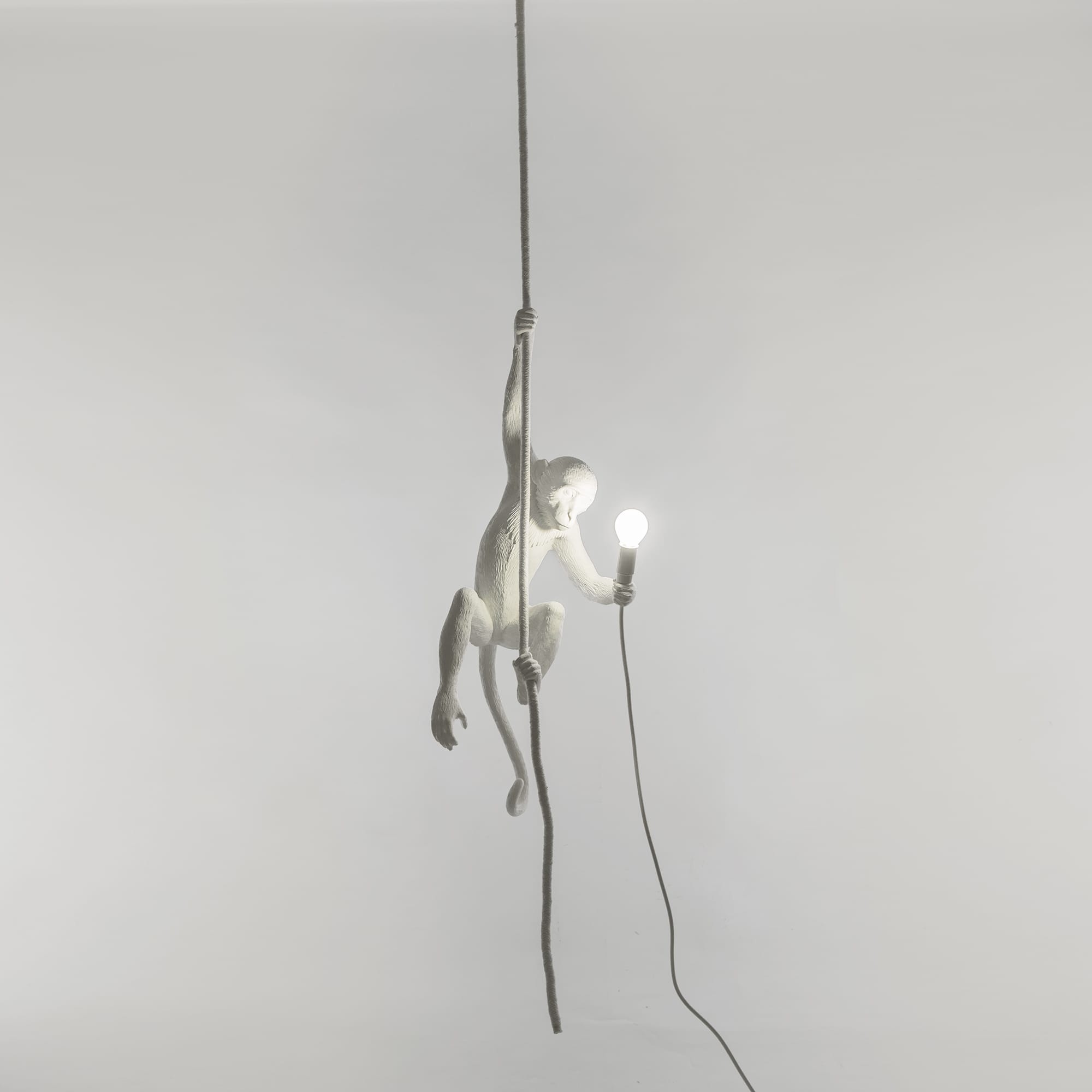 The Monkey Lamp Ceiling Version by DEKOR - product image 4 for Resin Society