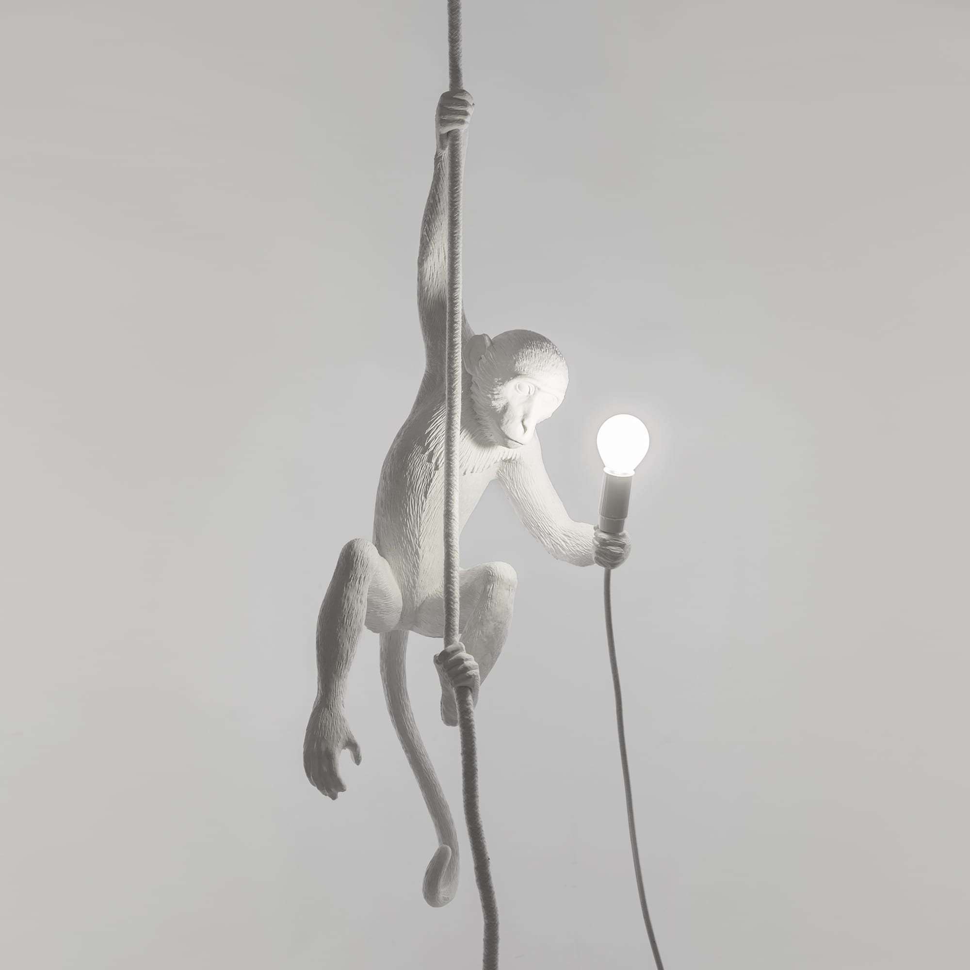 The Monkey Lamp Ceiling Version by DEKOR - product image 2 for Resin Society