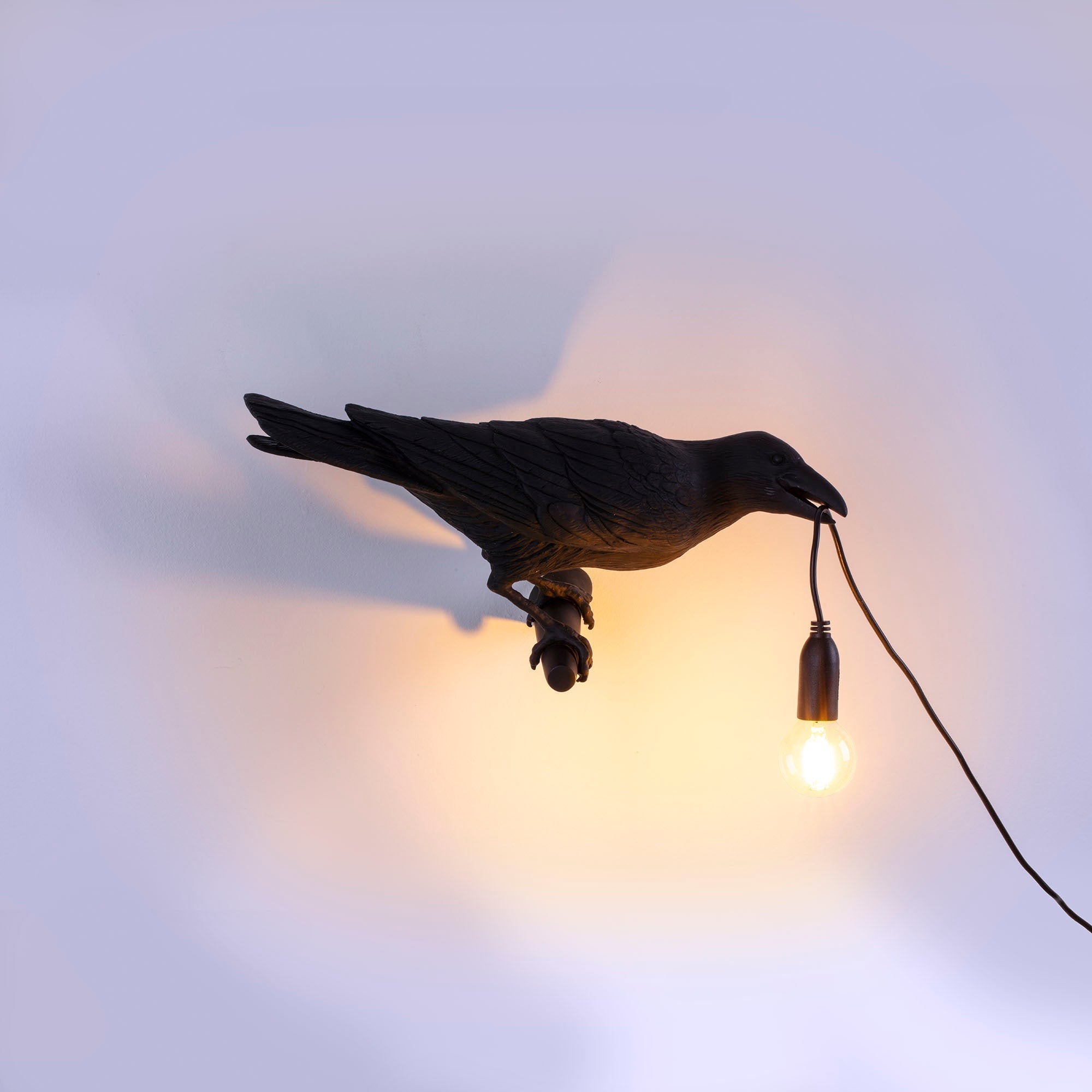 Bird Lamp Black Looking Right OUTDOOR detail image - Resin Society