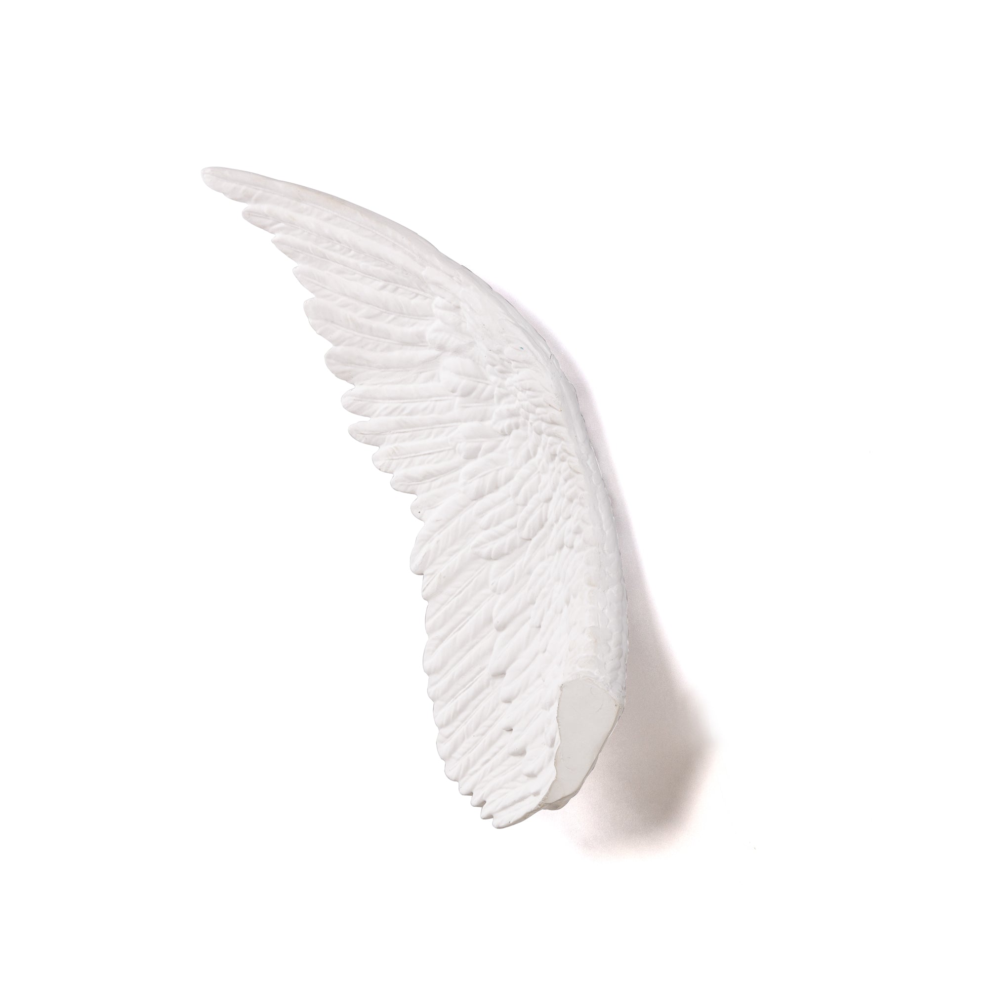 Memorabilia Mvsevm Wing Left detail image - Resin Society