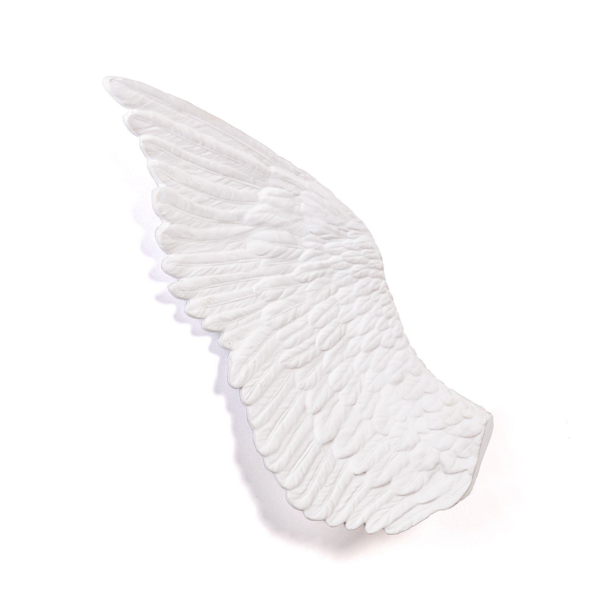 Memorabilia Mvsevm Wing Left detail image - Resin Society