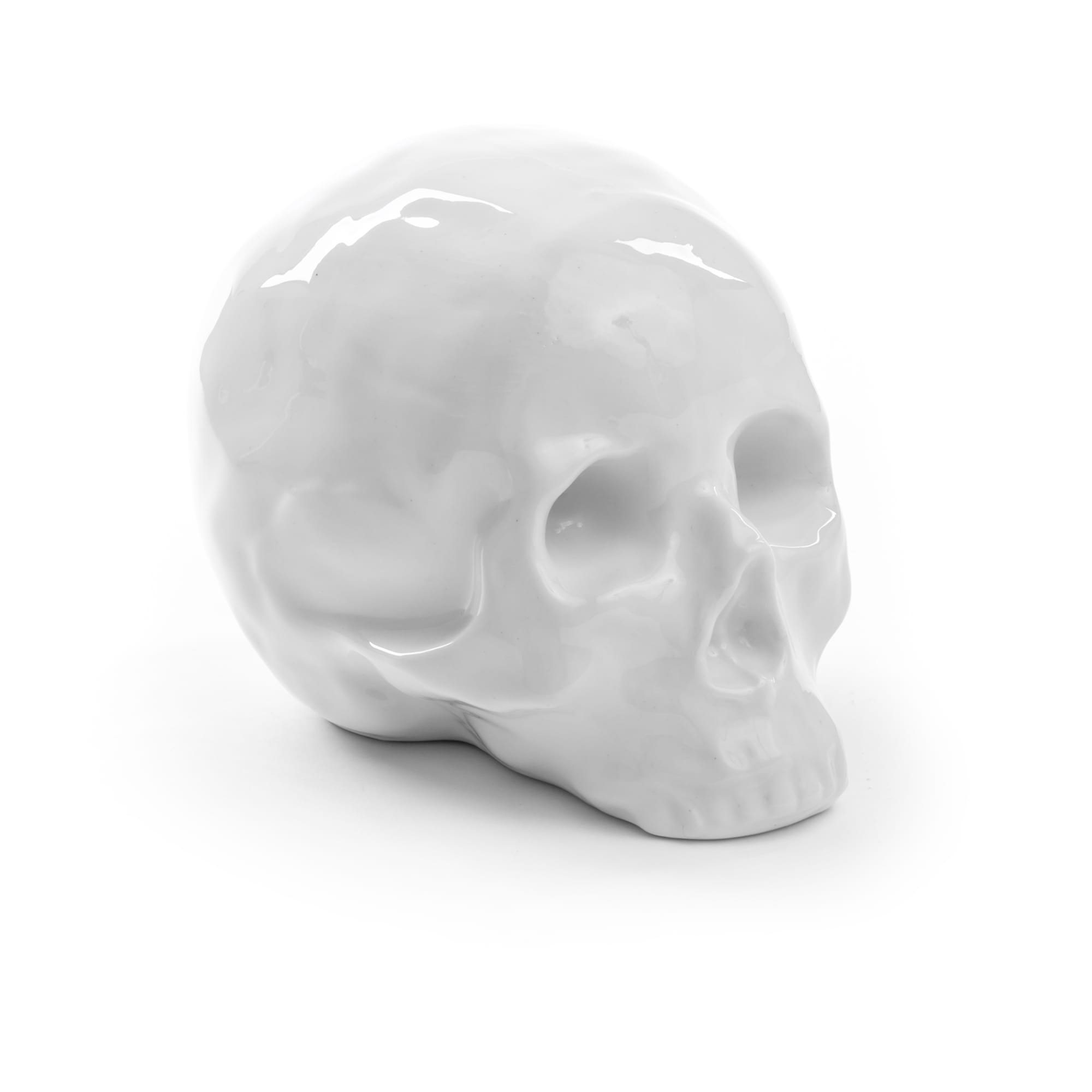 Memorabilia My Skull detail image - Resin Society