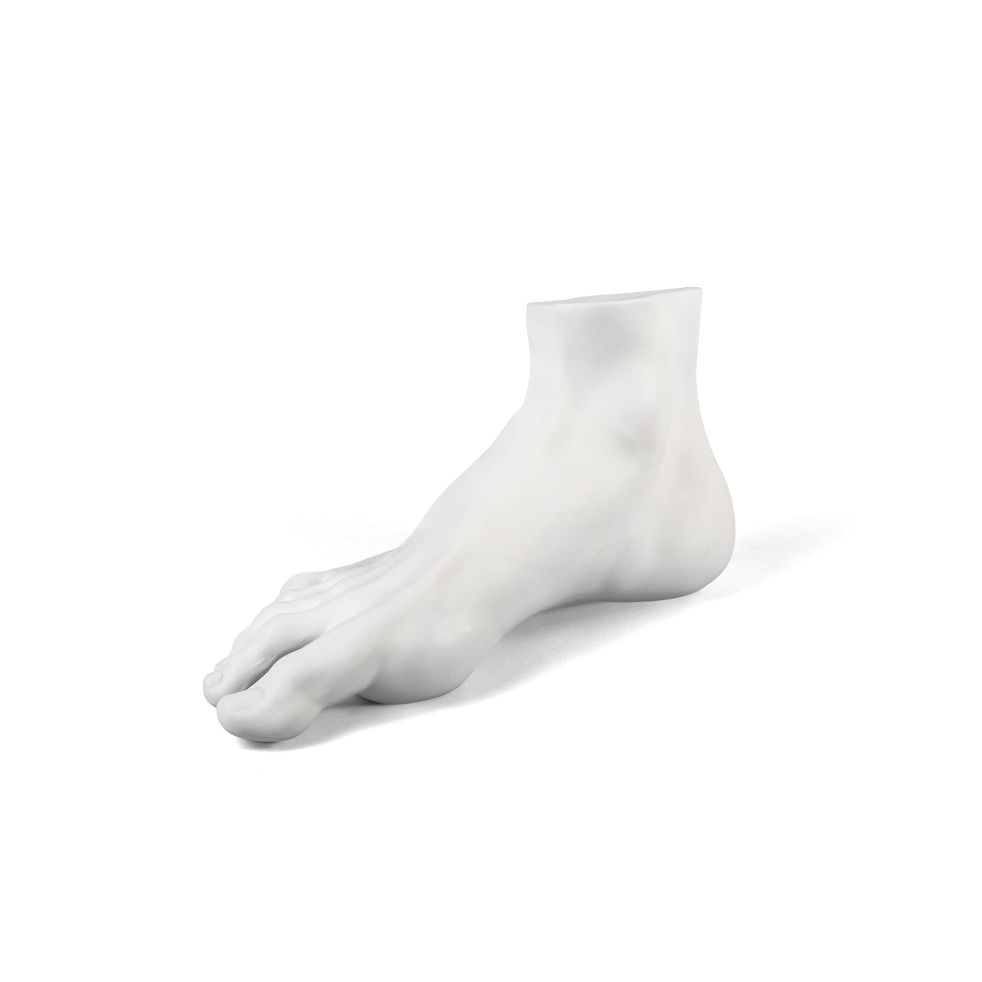 Memorabilia Mvsevm Male Foot detail image - Resin Society