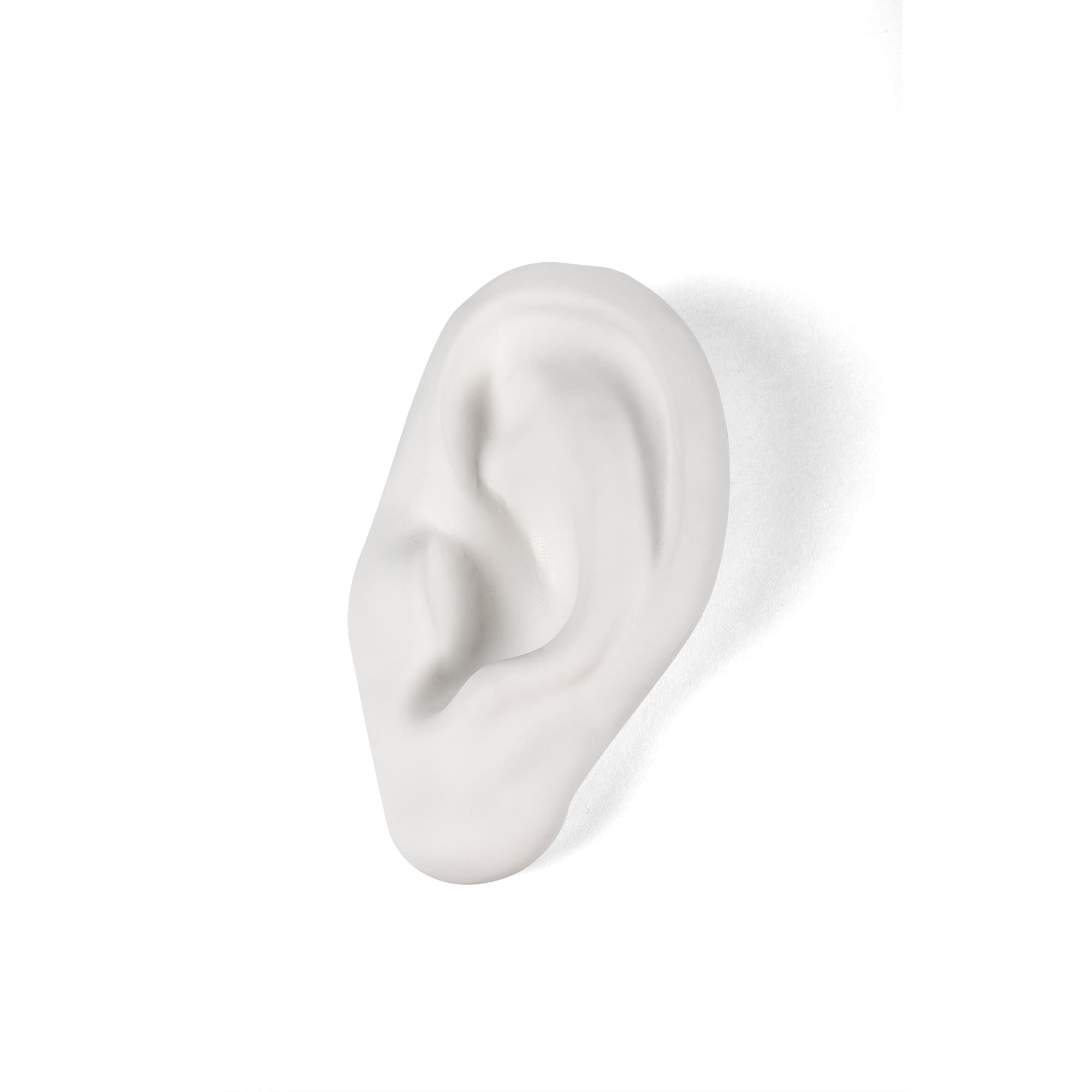Memorabilia Mvsevm Ear by DEKOR - Resin Society