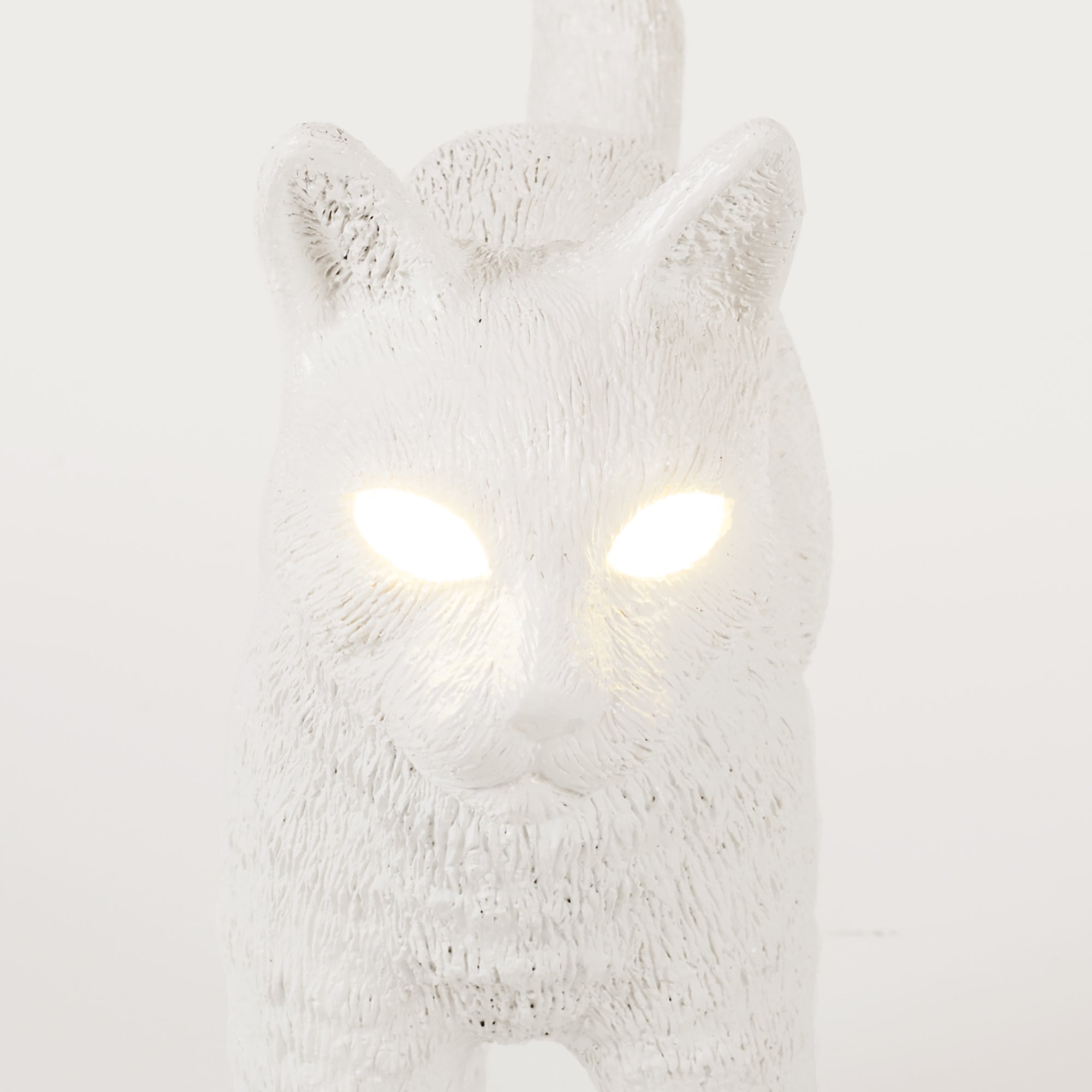 Jobby The Cat White detail image - Resin Society