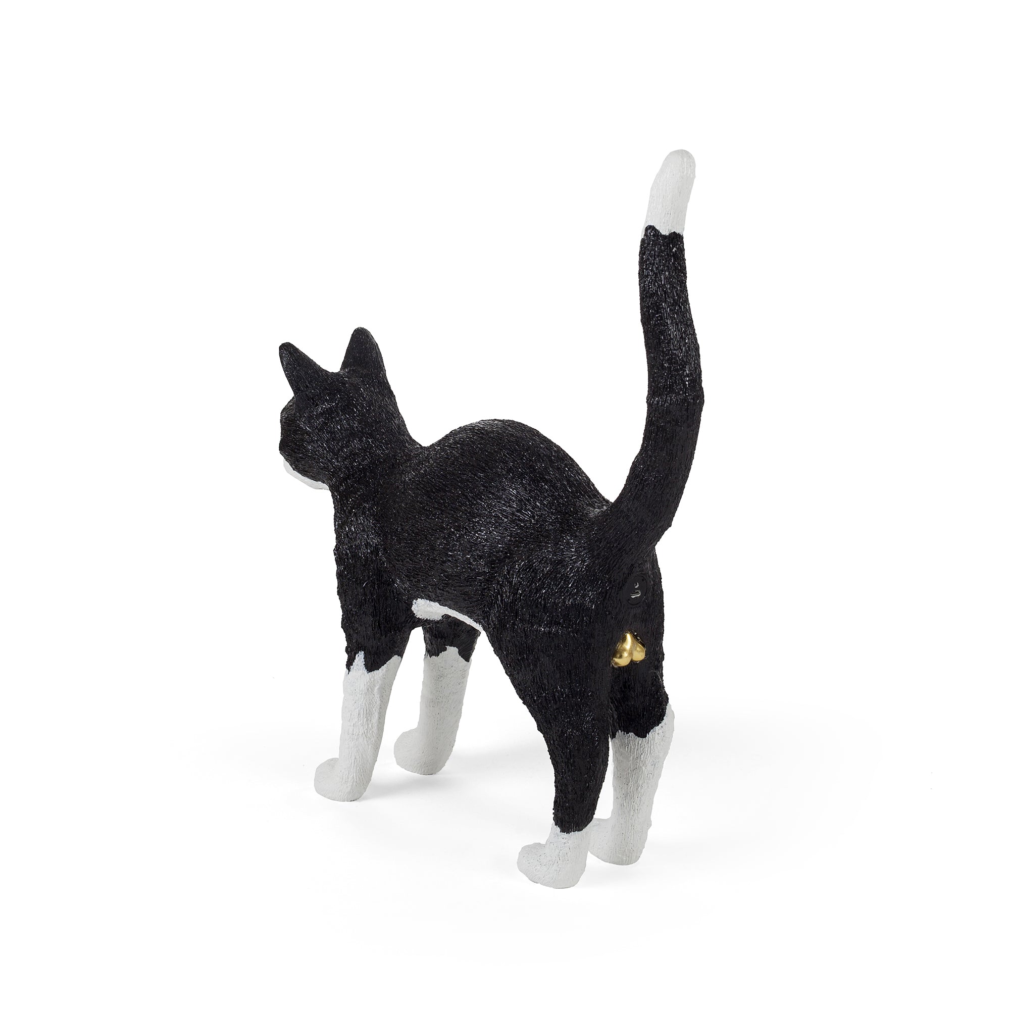 Jobby The Cat Black & White detail image - Resin Society