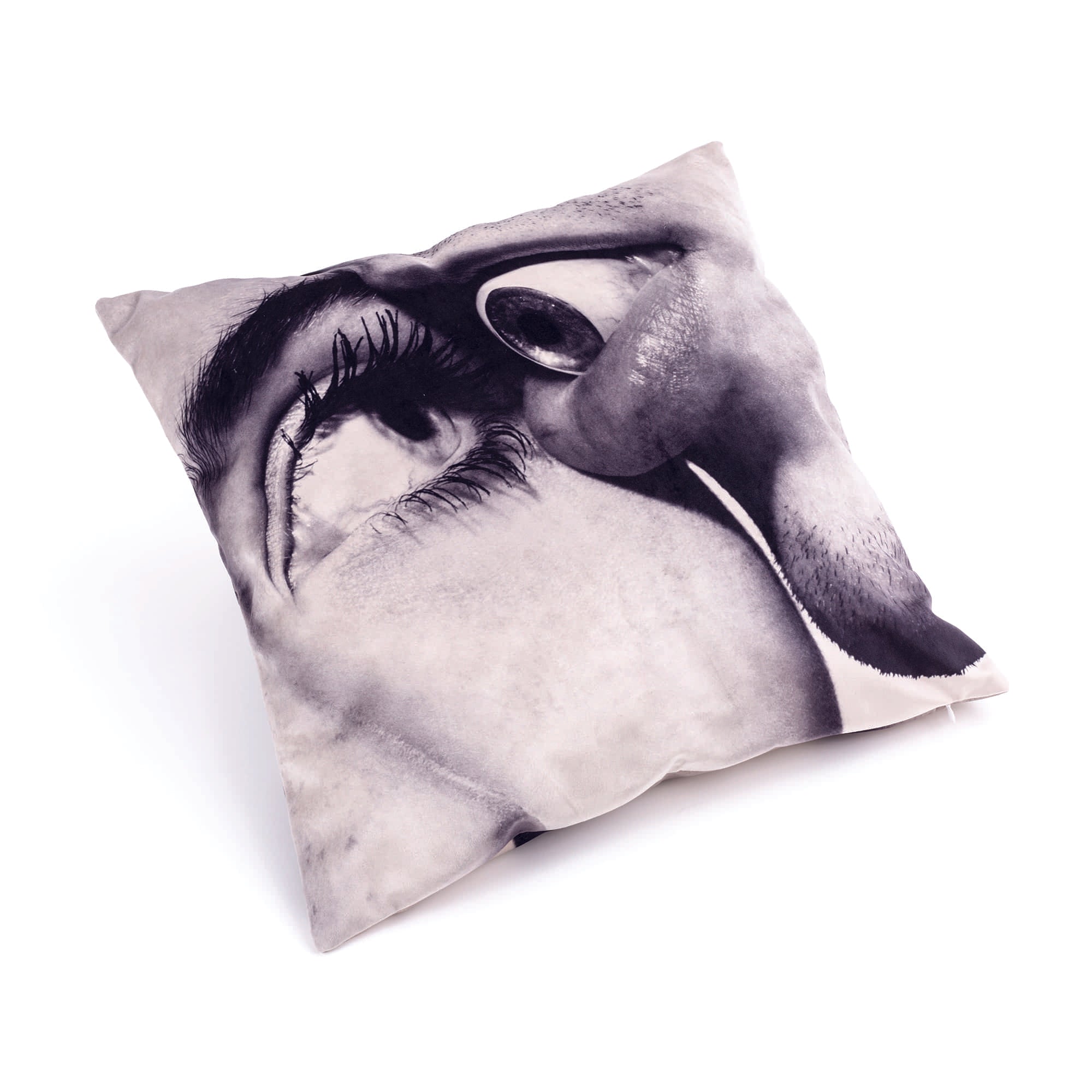 Cushion Eye & Mouth detail image - Resin Society