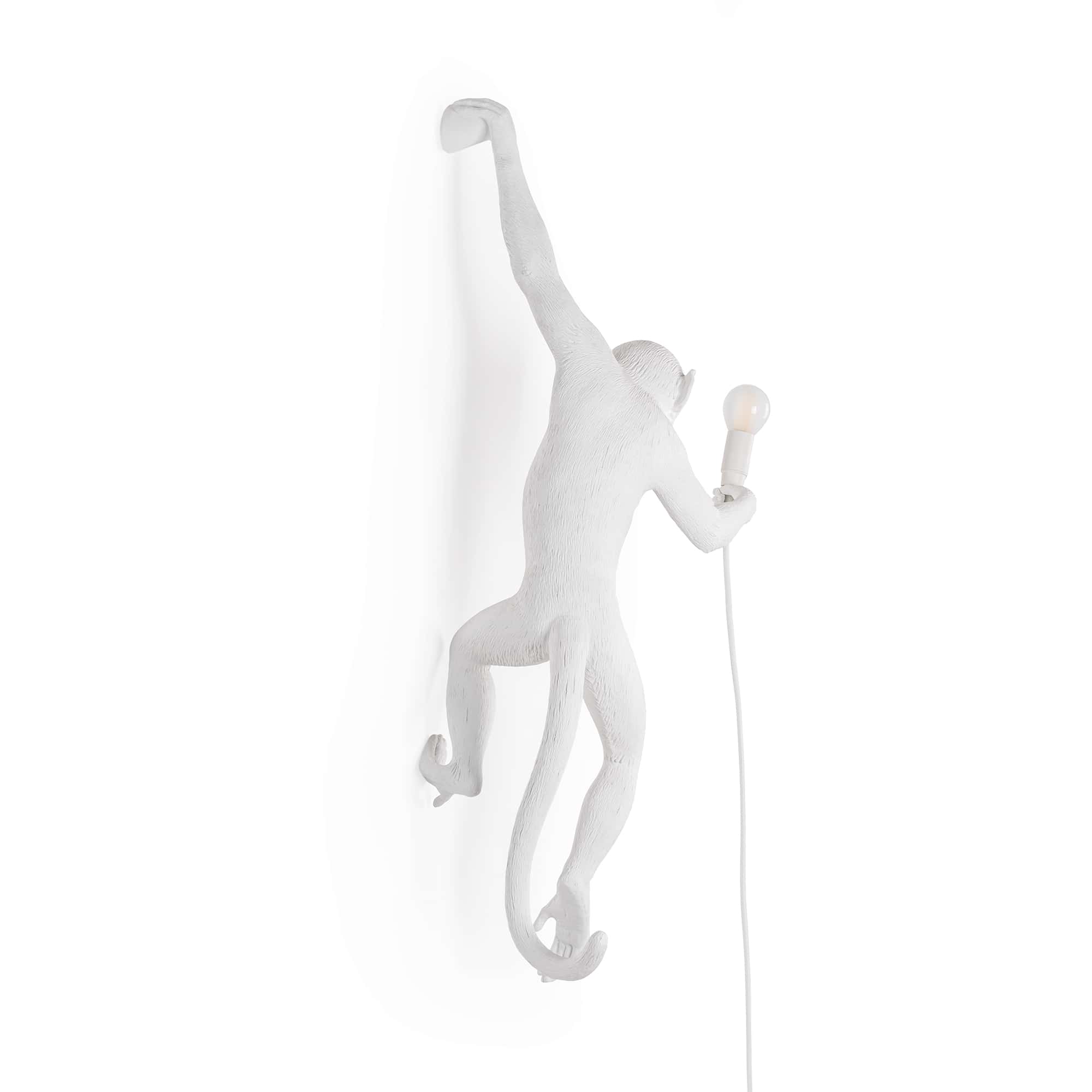 The Monkey Lamp Hanging OUTDOOR Version Left by DEKOR - product image 3 for Resin Society