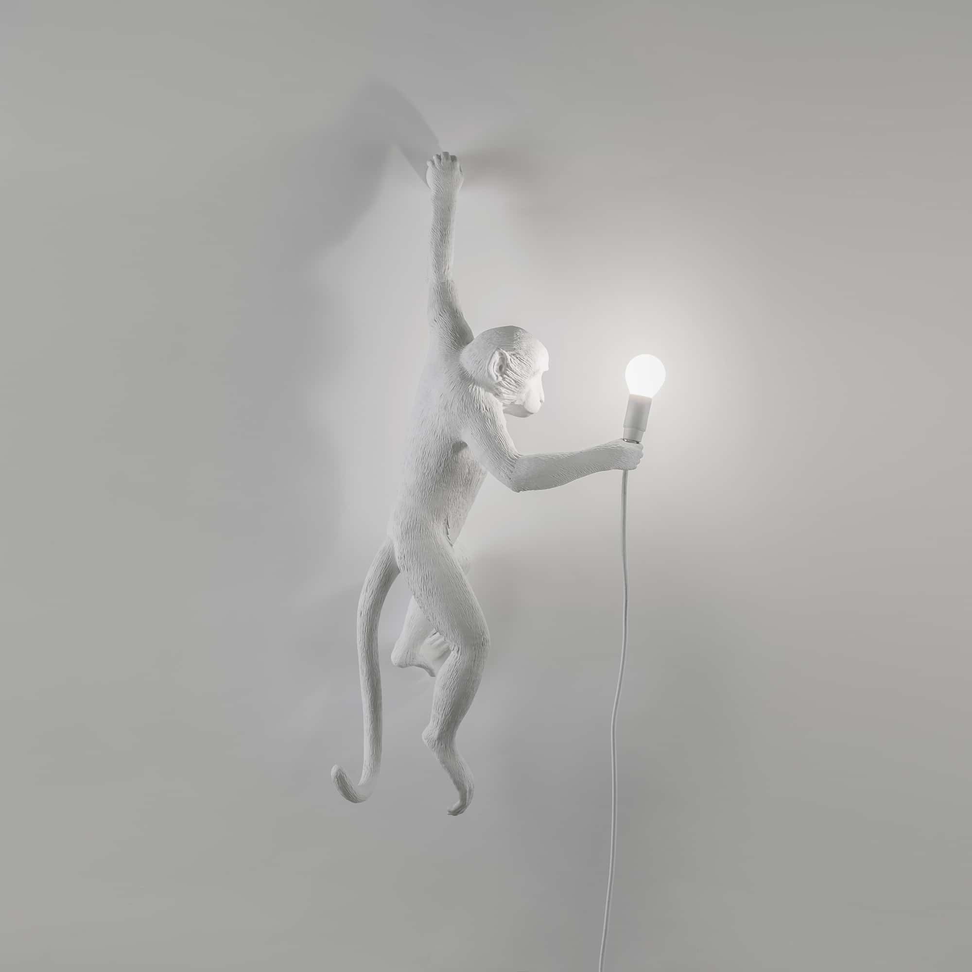 The Monkey Lamp Hanging OUTDOOR Version Left by DEKOR - product image 5 for Resin Society