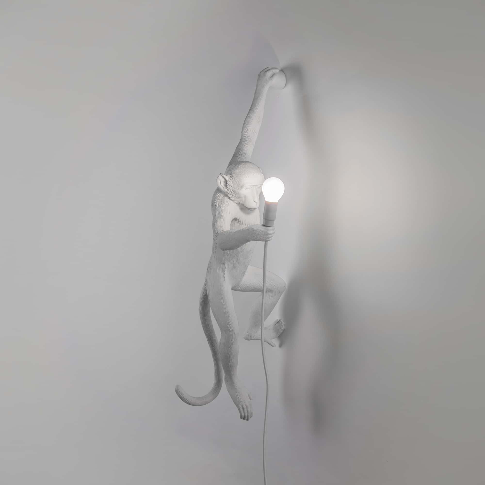 The Monkey Lamp Hanging OUTDOOR Version Left by DEKOR - product image 2 for Resin Society