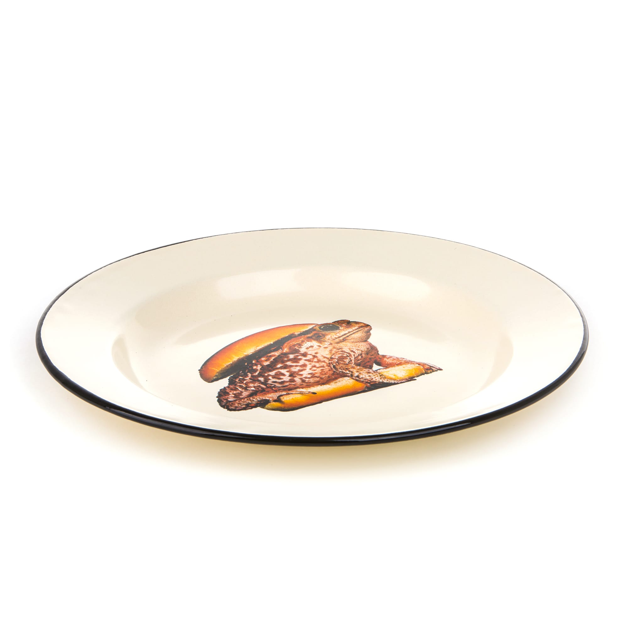 Enamel Plate Toad detail image - Resin Society