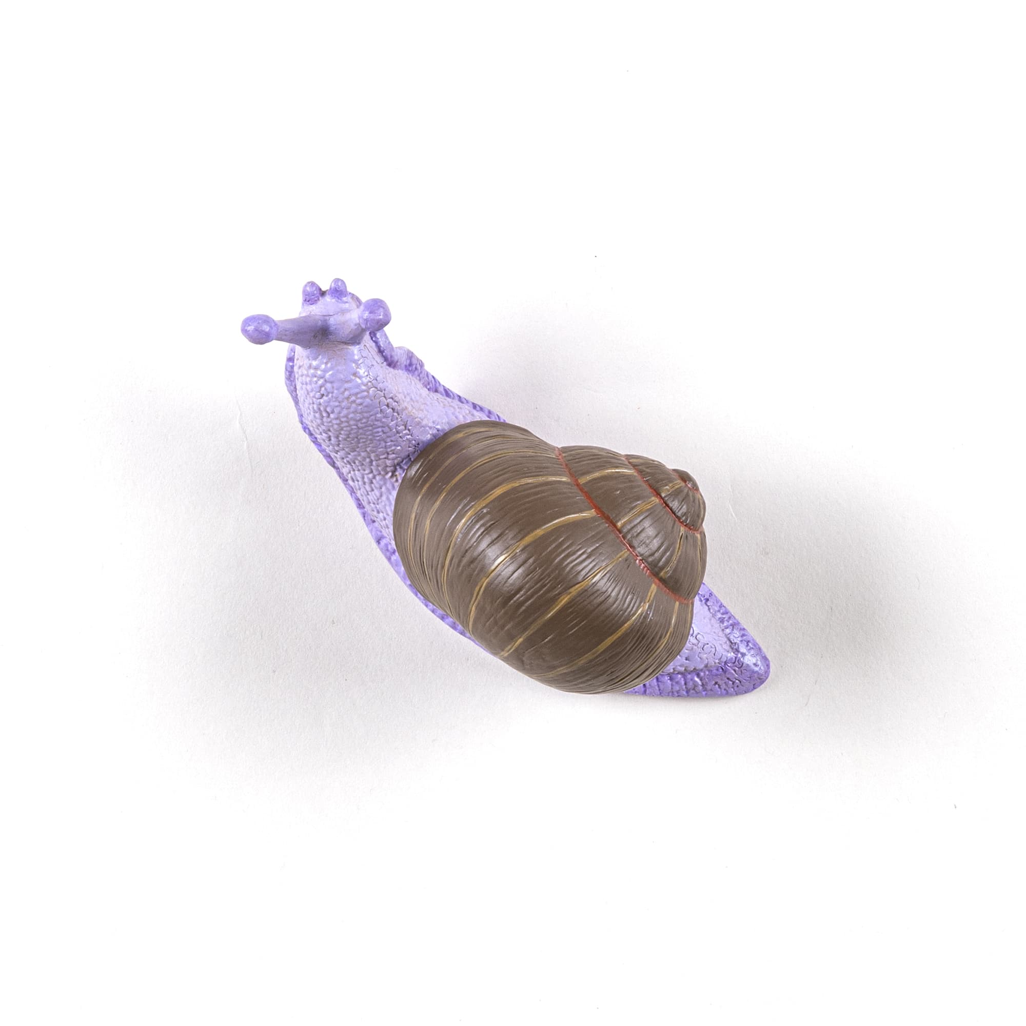 Hangers Snail Slow Coloured detail image - Resin Society