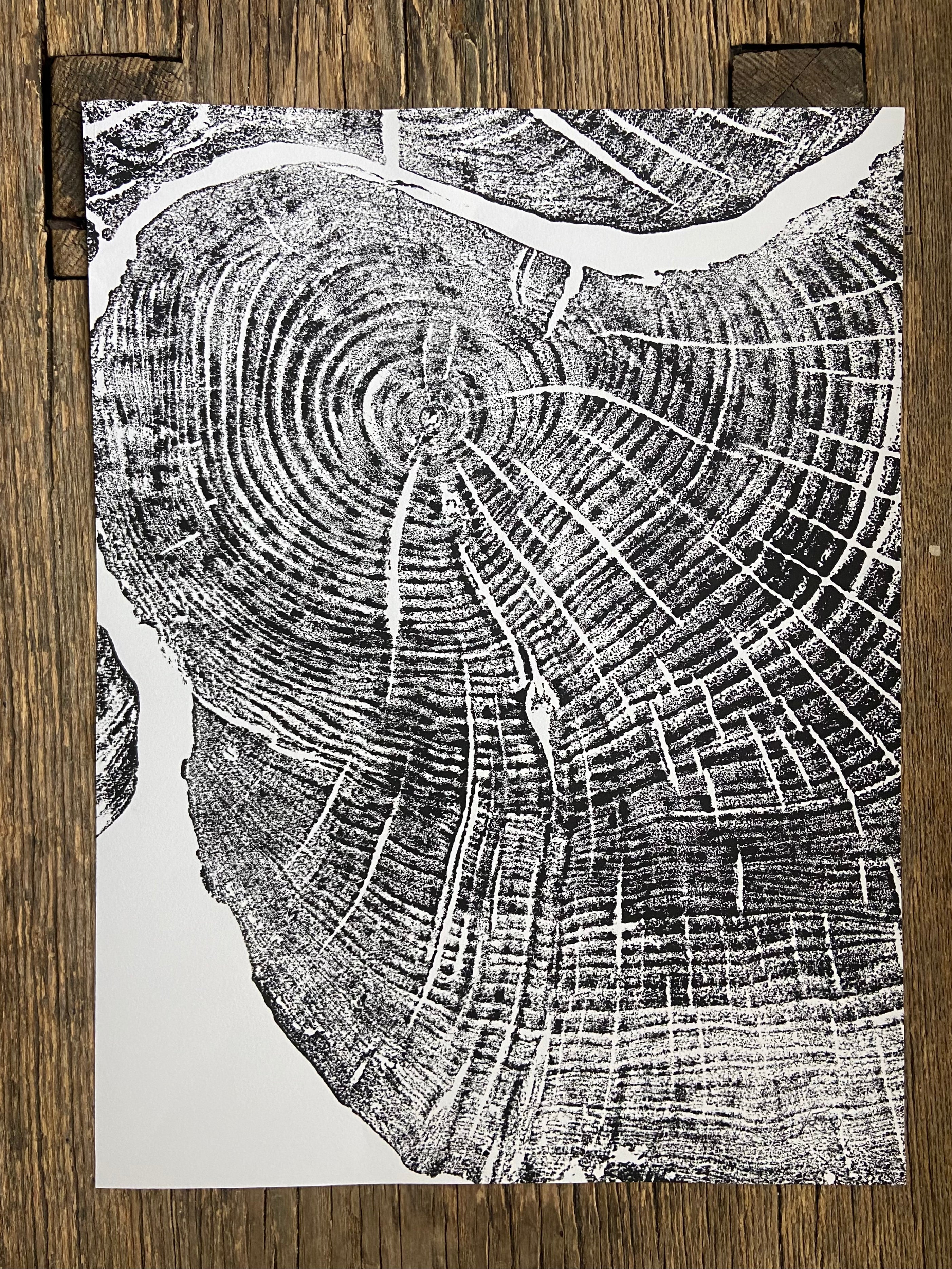 Sugar Maple, Cropped, Limited Edition 12x16 inches.
Hand pressed and signed.