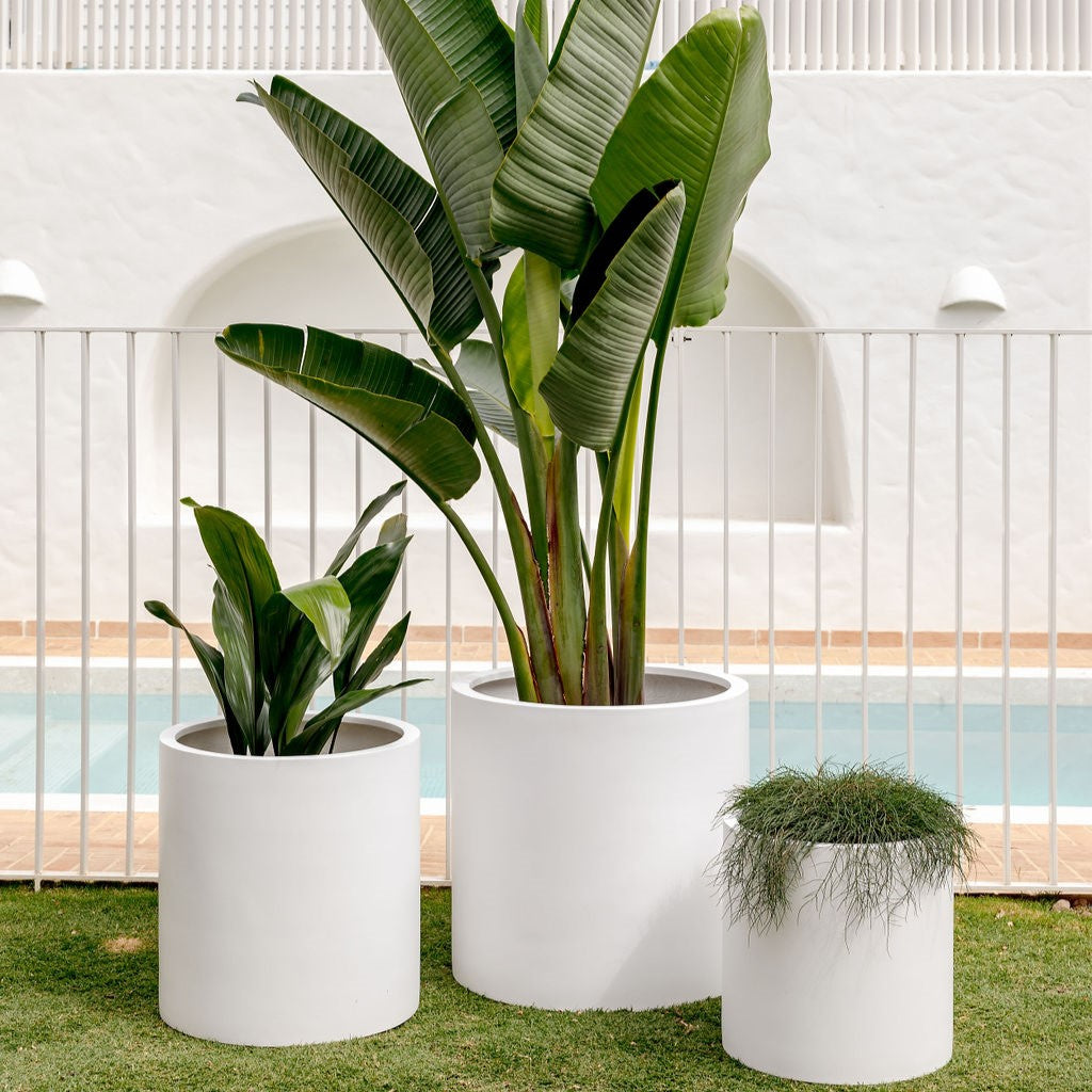 Choob Planter by The Balcony Garden US
