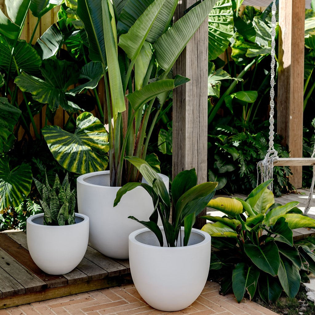 Tub Planter by The Balcony Garden US