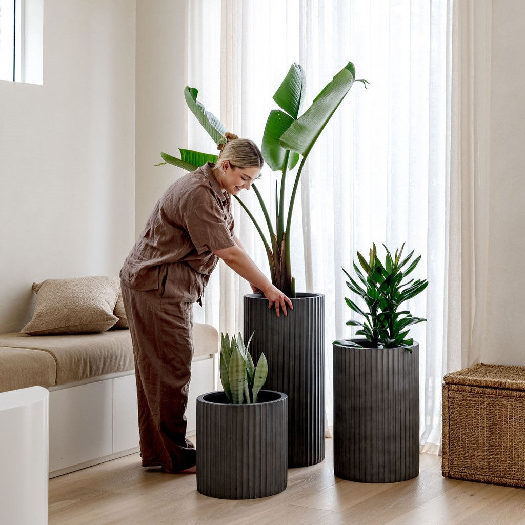 Ribbed Loob Planter by The Balcony Garden US