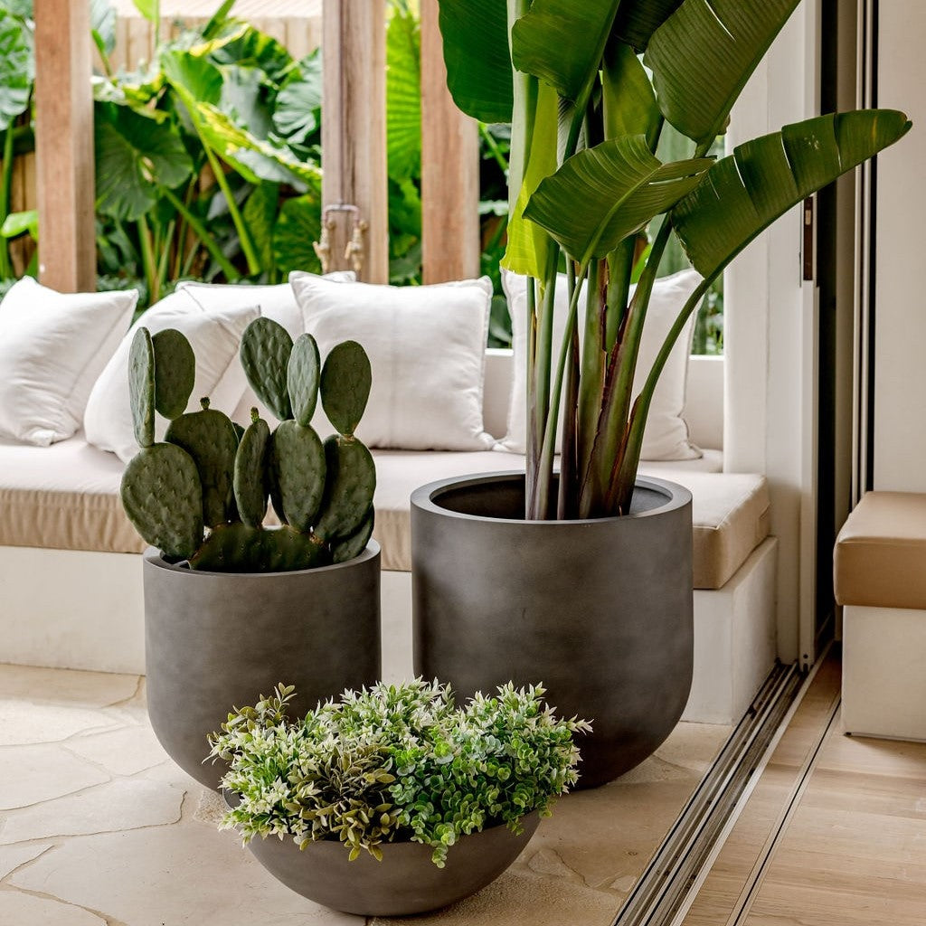Straight Up Planter by The Balcony Garden US