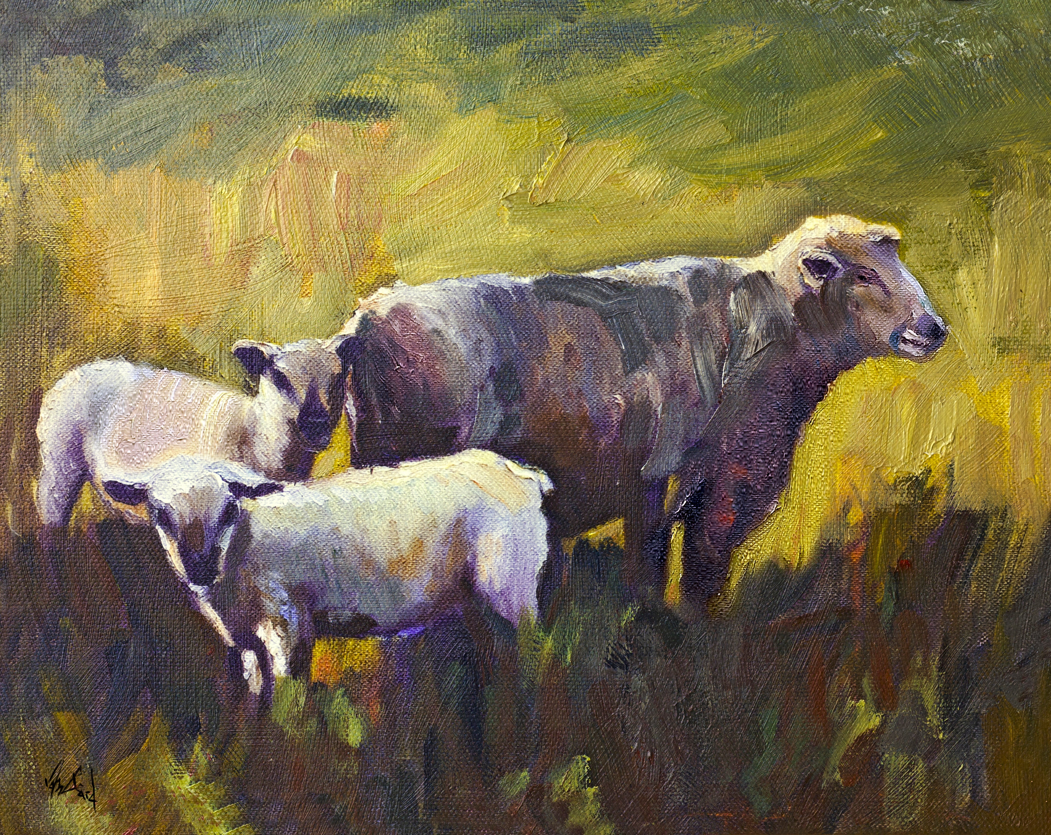 Three Sheep Artist Enhanced Canvas Print by John Beard Collection - main product image for Resin Society