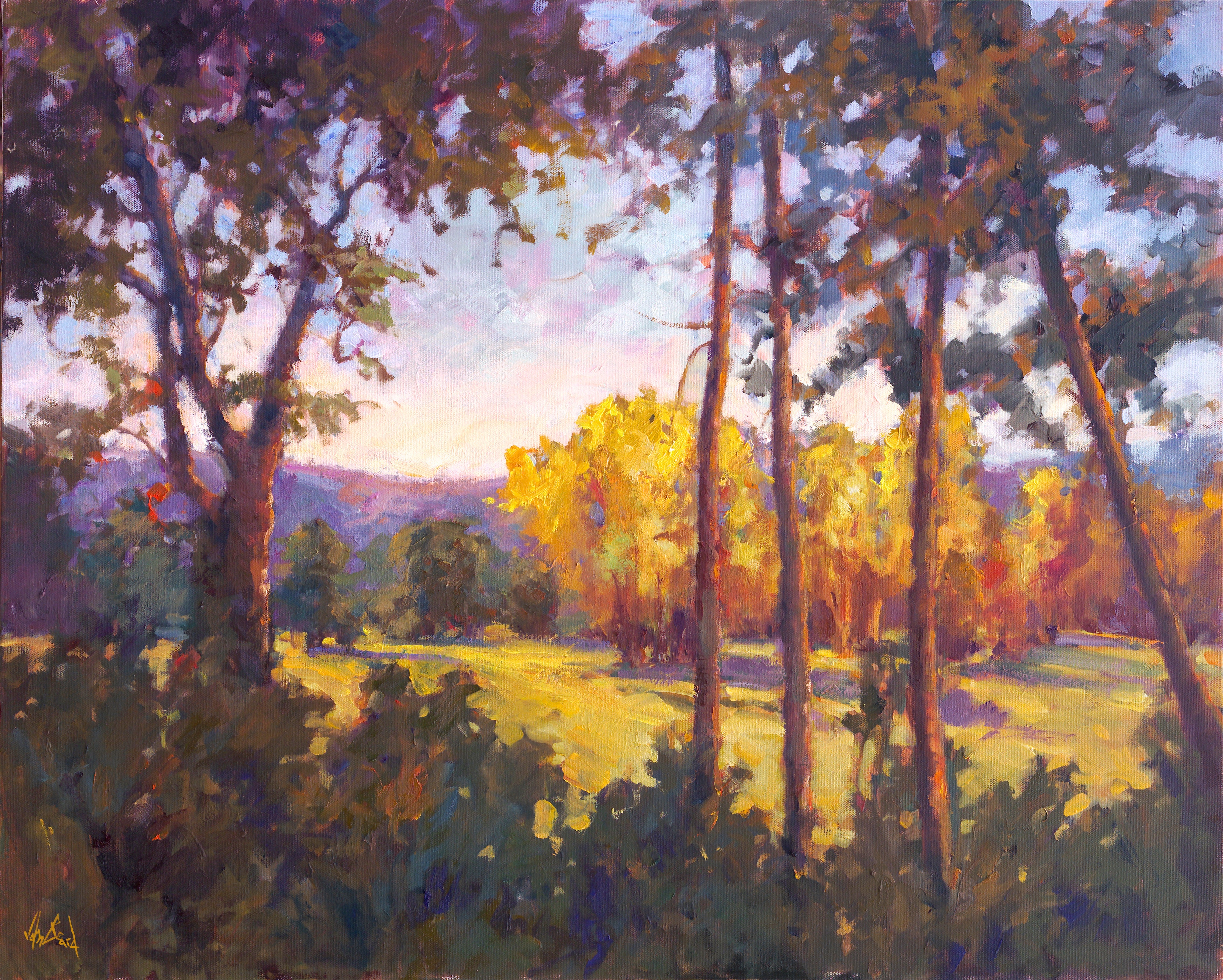Through the Trees Artist Enhanced Canvas Print by John Beard Collection - main product image for Resin Society