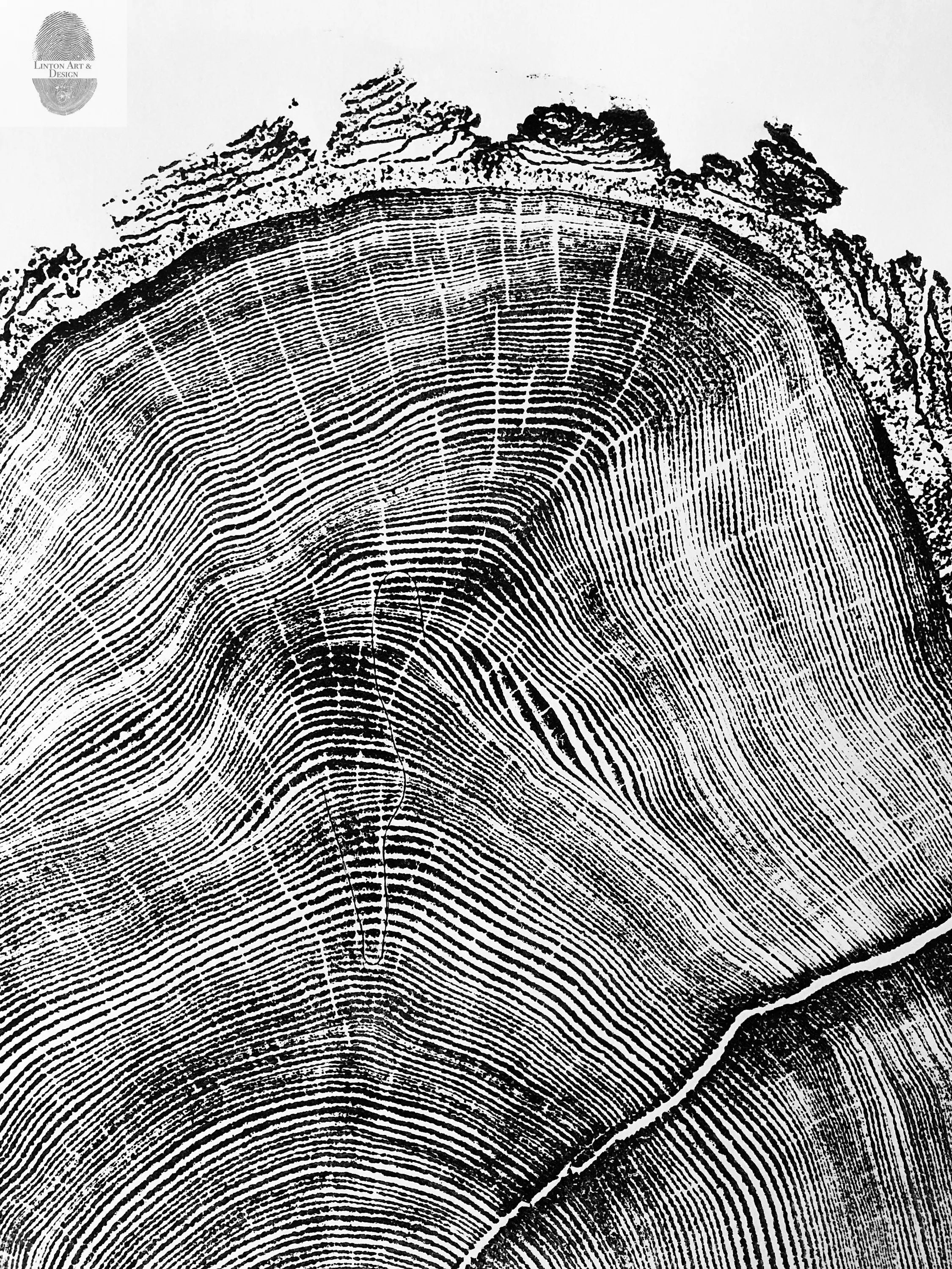 Utah Art, Tree Ring Print, Natural Wood Slice Wall Art by lintonart