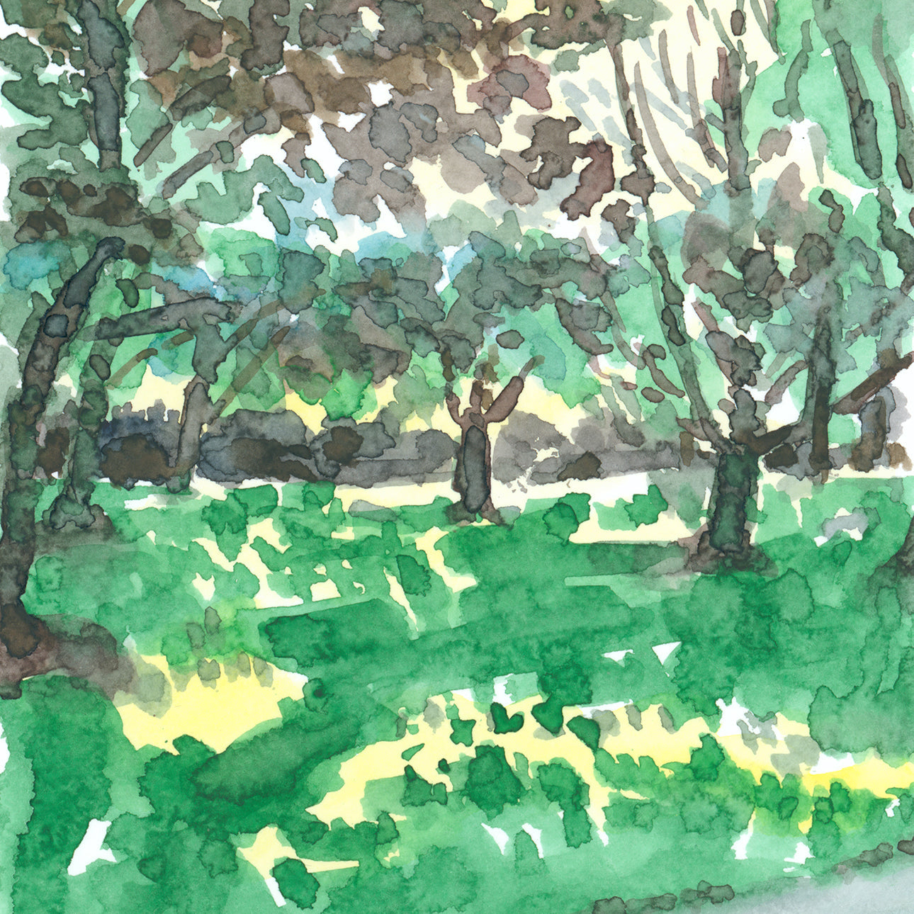 Watercolor painting of a sunlit grassy patch in Vancouver's Van Dusen Botanical Garden