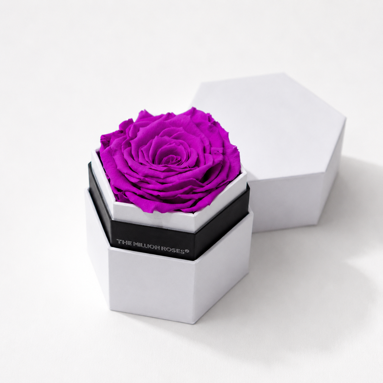 White hexagon box containing one large bright purple rose viewed from above