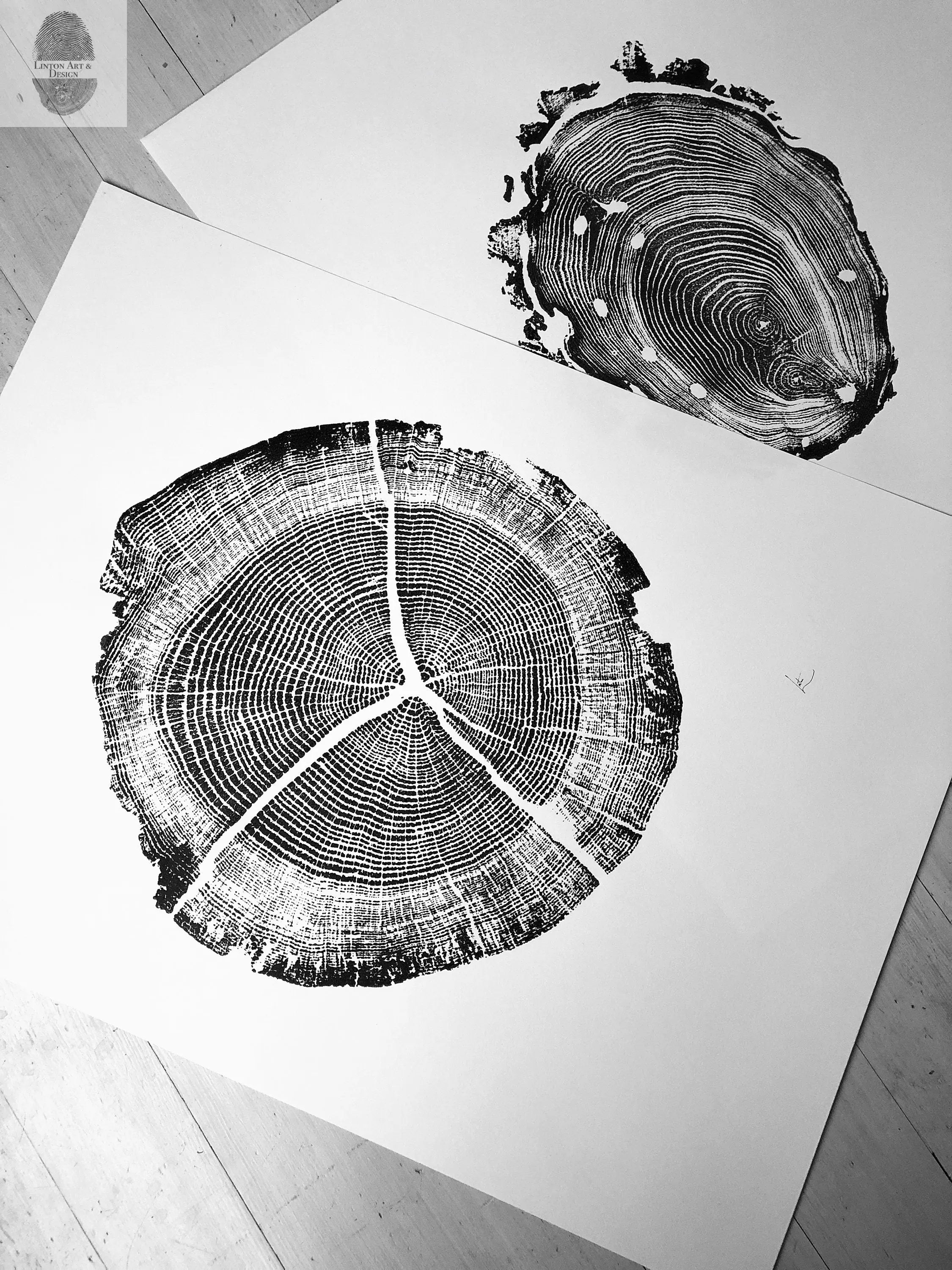 Walden Pond Print, Massachusetts Tree Ring Print - 18x24 print - Signed Original