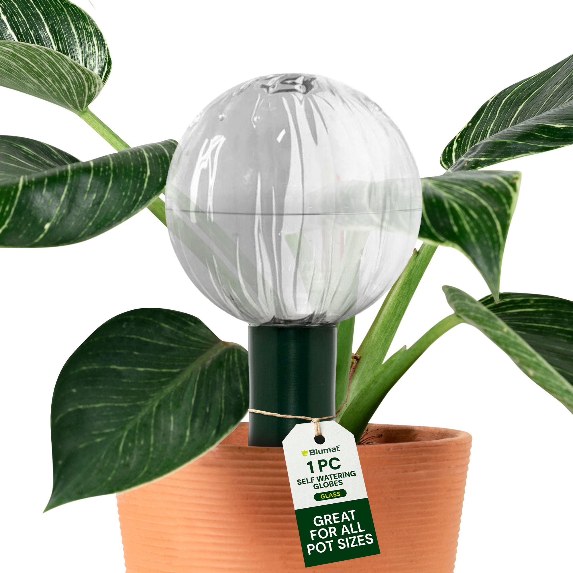 Blumat Glass Plant Self Watering Globes by Sustainable Village - product image 2 for Resin Society