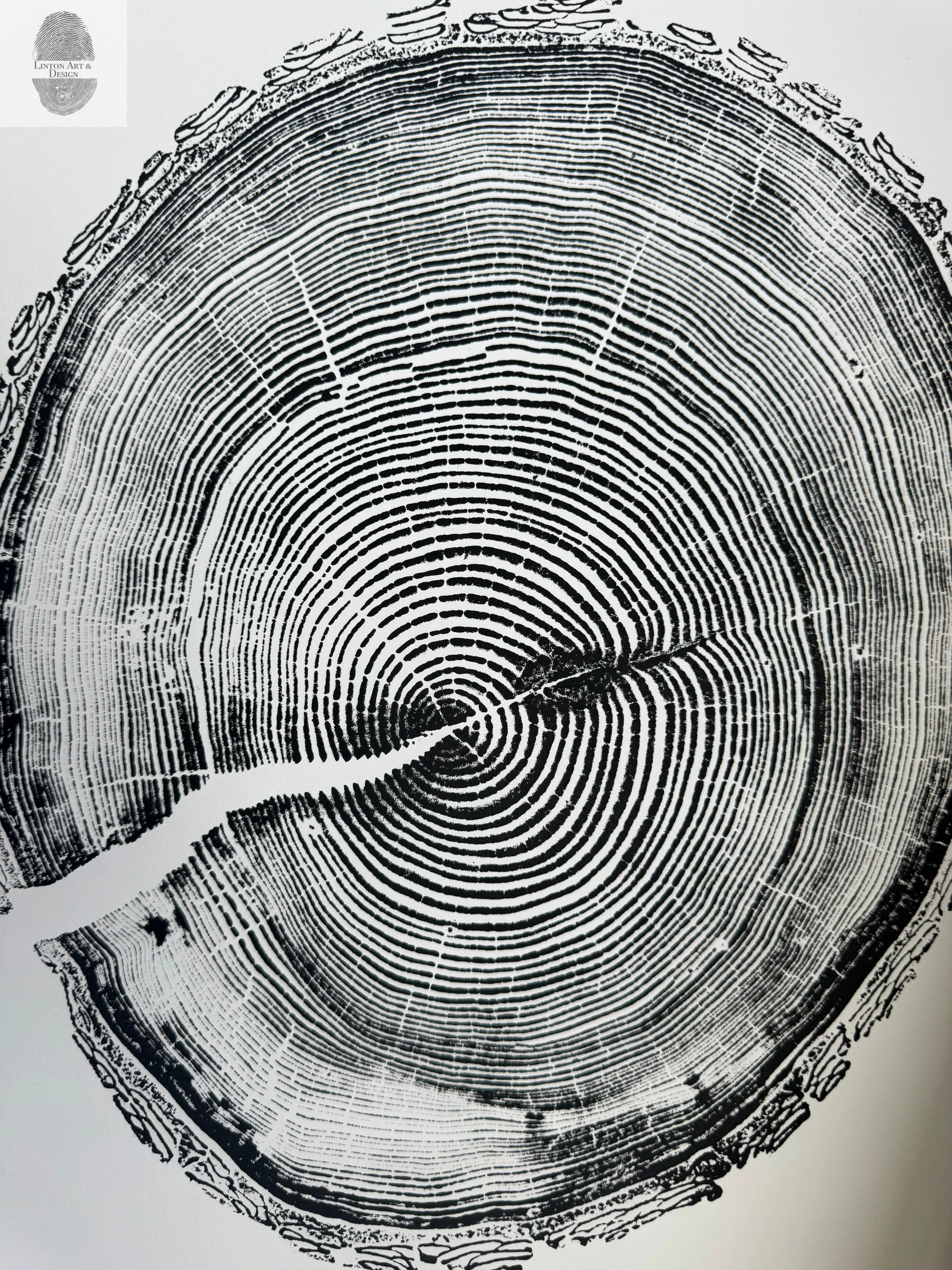 White Pine Tree Ring Impression woodcut print, 18x24 inches, showing detailed tree rings on fine art paper