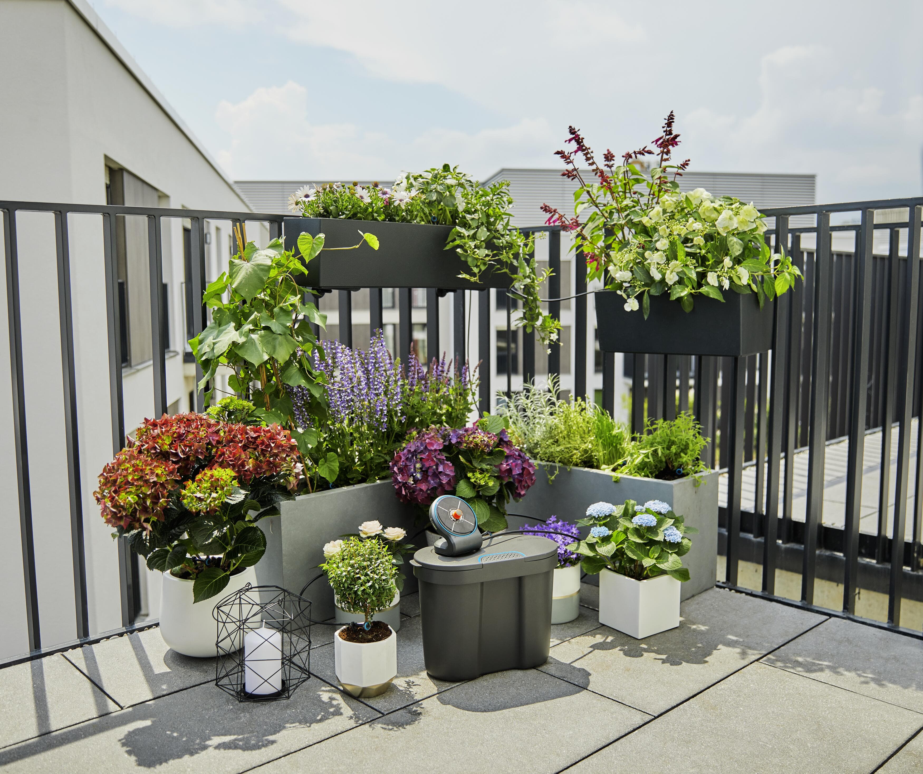 AquaBloom Automatic Plant Watering System detail image - Resin Society