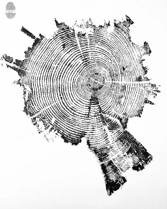 Yellowstone Pine II 18x24 print showing the jagged edge and detailed tree rings of a burned Yellowstone pine