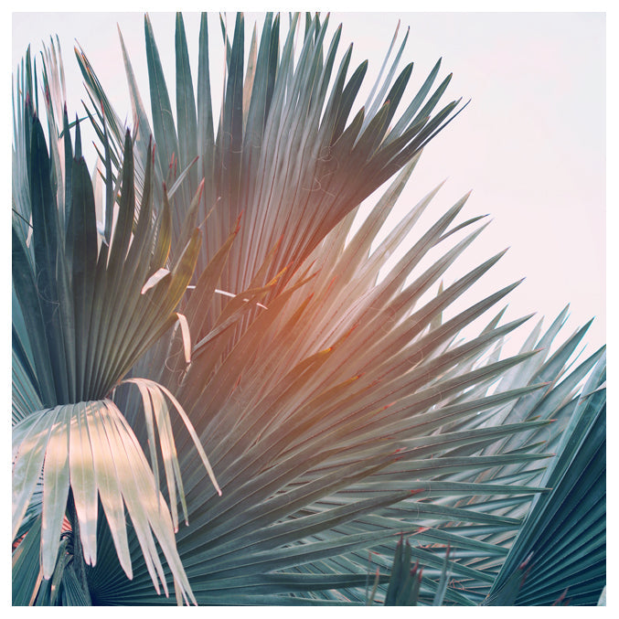 Island Breeze fine art photograph showing a serene coastal scene with soft light