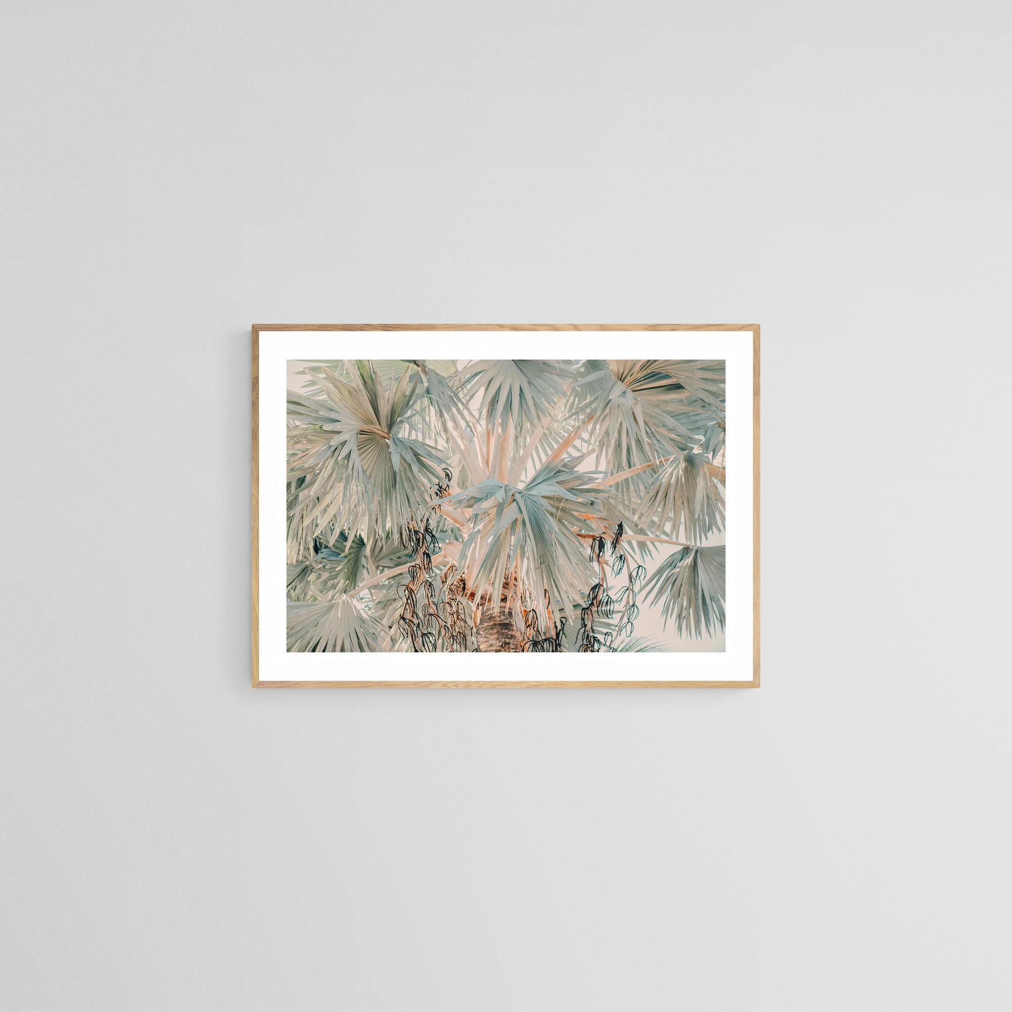Bismarck Morning #2- Fine Art Photograph by Alicia Bock Print Shop - product image 2 for Resin Society