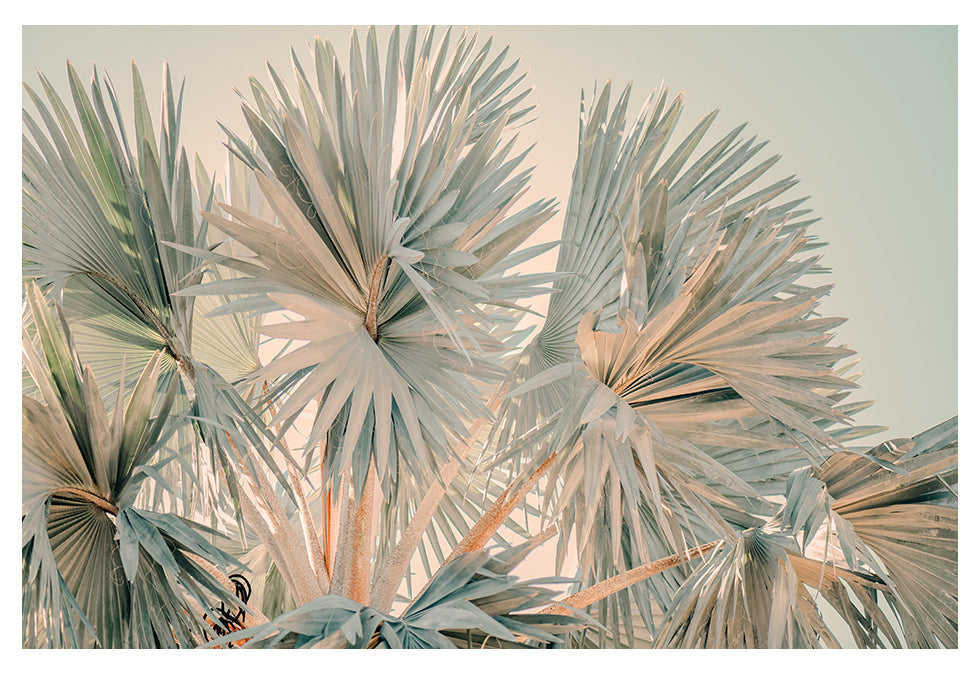 Bismarck Morning #3- Fine Art Photograph by Alicia Bock Print Shop - main product image for Resin Society