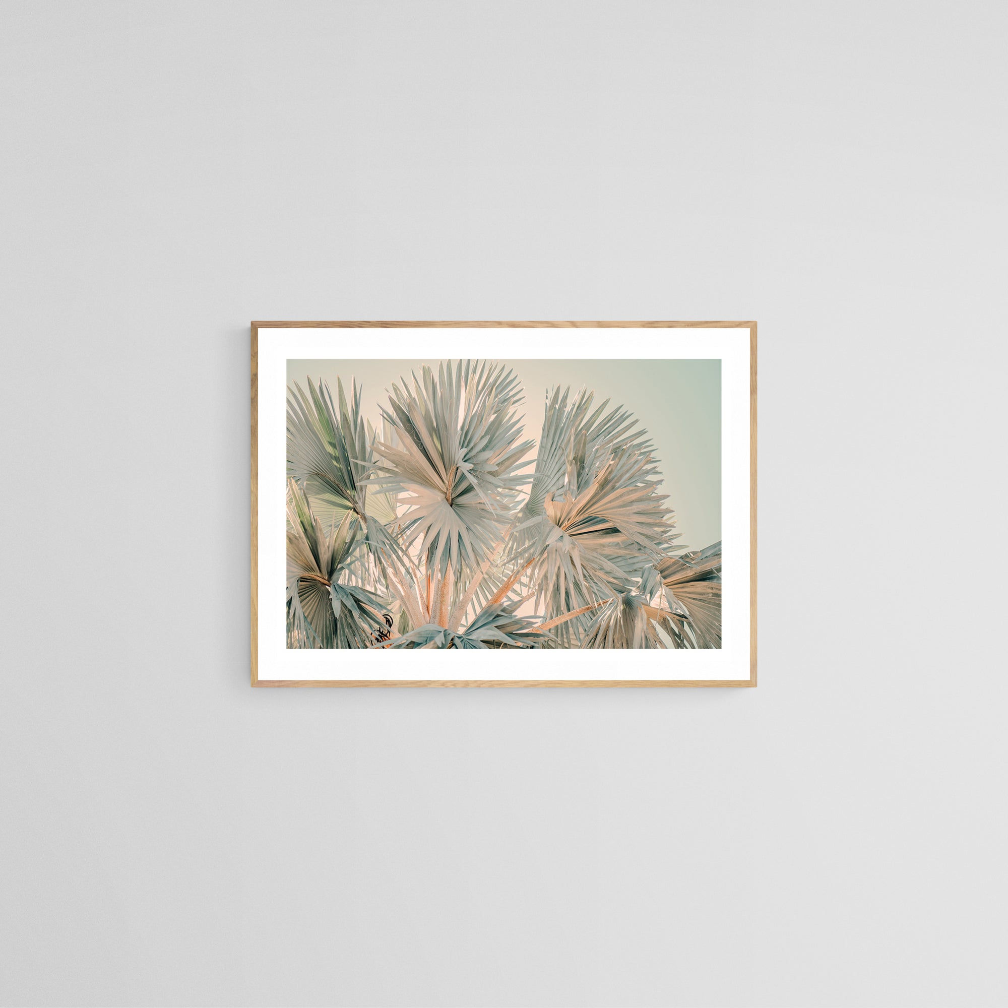 Bismarck Morning #3- Fine Art Photograph by Alicia Bock Print Shop - product image 2 for Resin Society