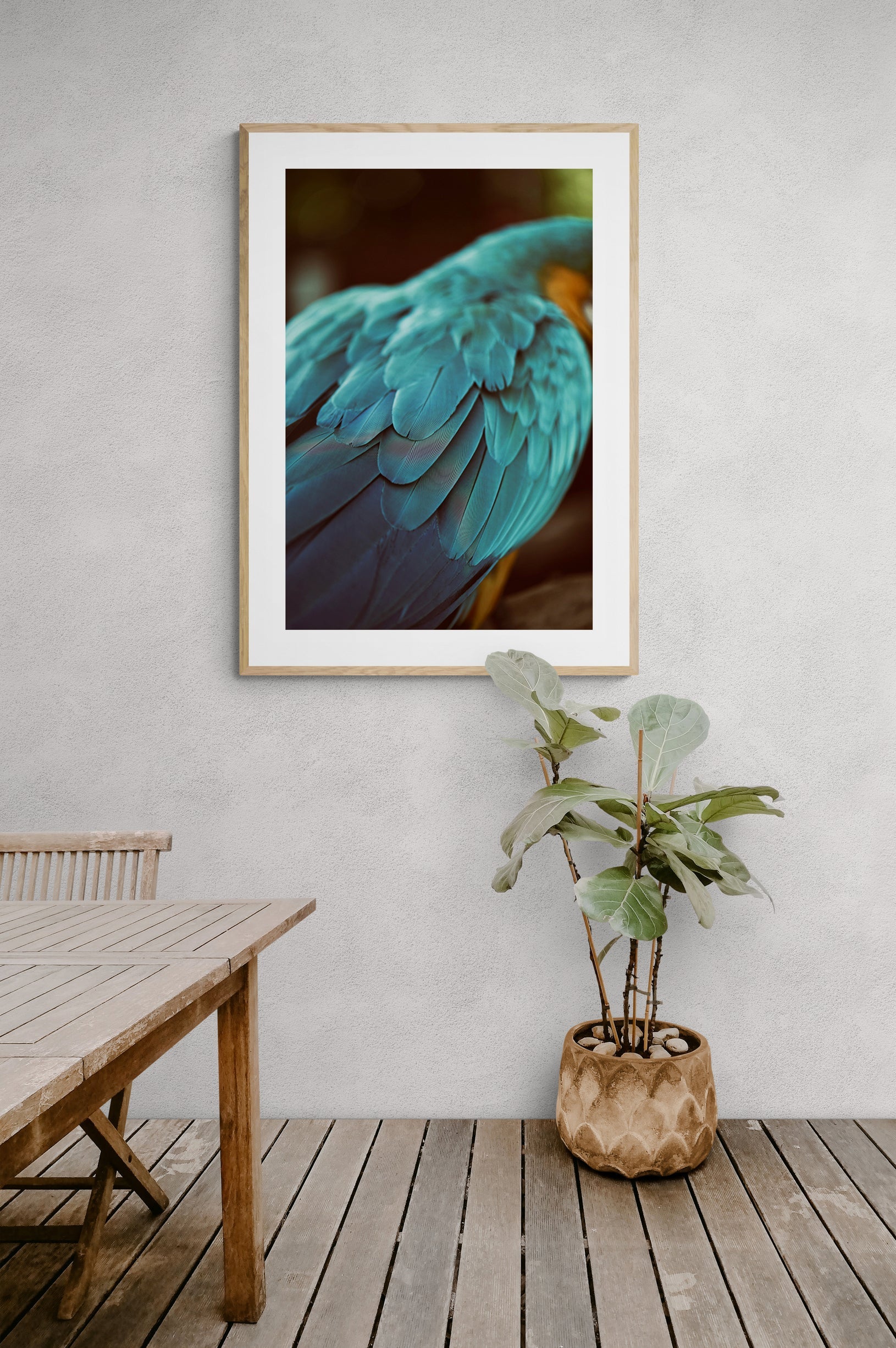 Blue Feathers #4 - Fine Art Photograph by Alicia Bock Print Shop - product image 2 for Resin Society