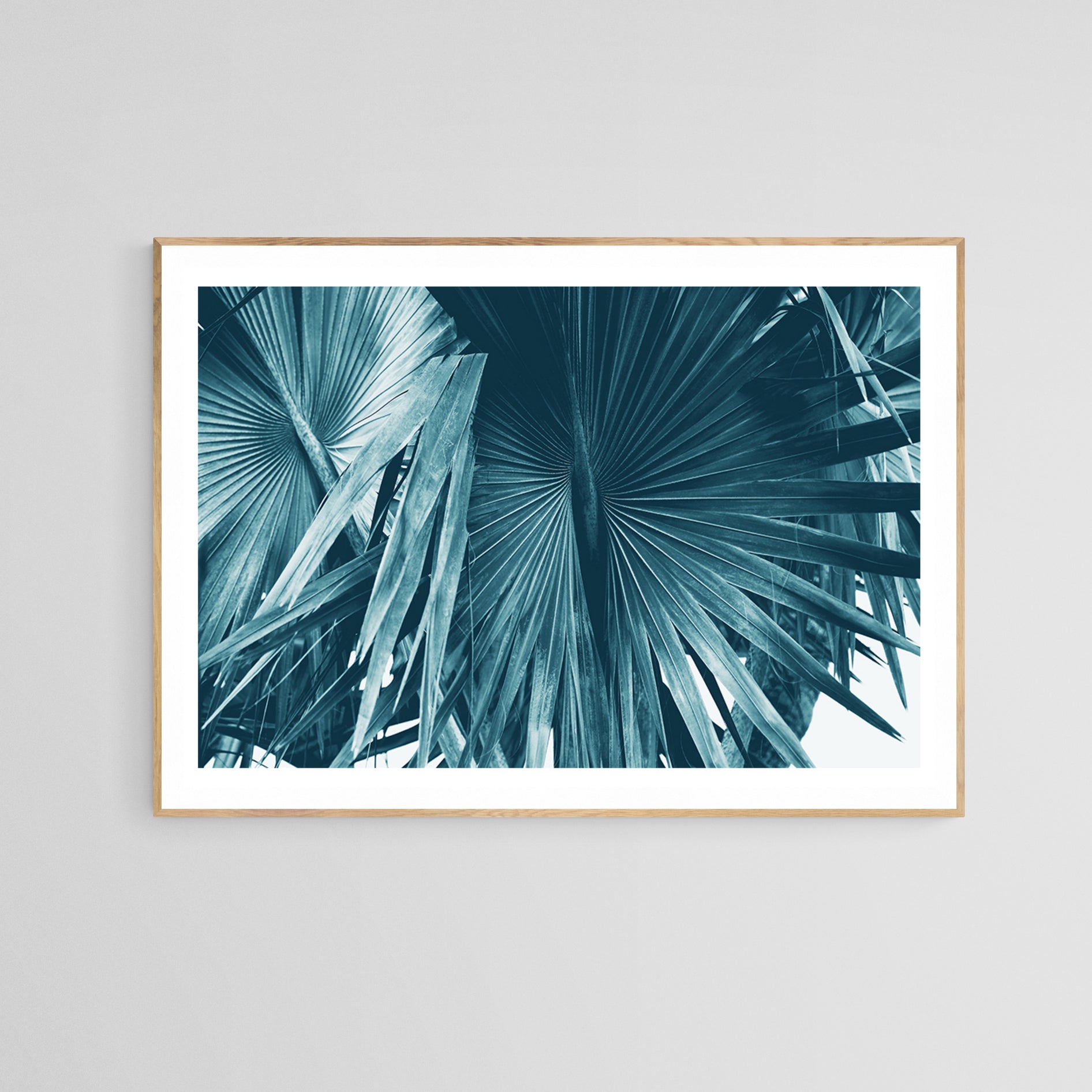 Cyan Bismarck #1 - Fine Art Photograph by Alicia Bock Print Shop
