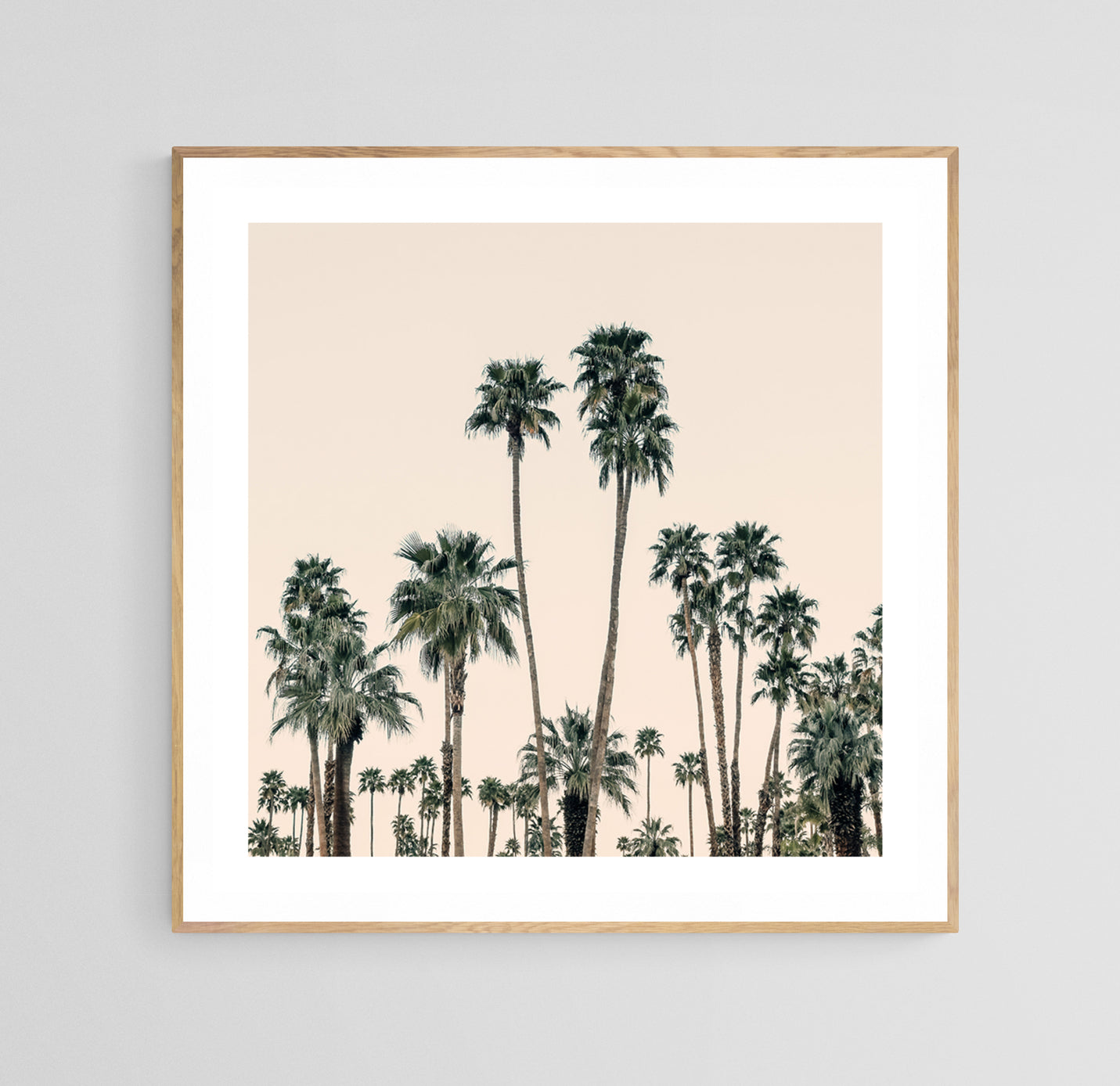 Modern Fine Art Photograph - Mid-Century Palms #1