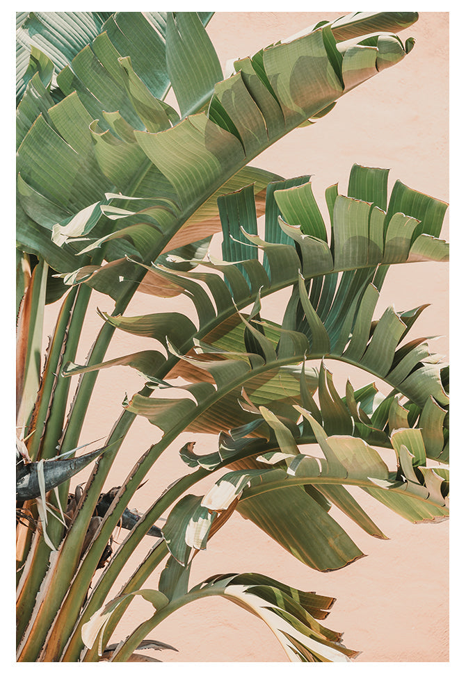 Modern Fine Art Photograph - Peach Sunrise #1 by Alicia Bock Print Shop - main product image for Resin Society