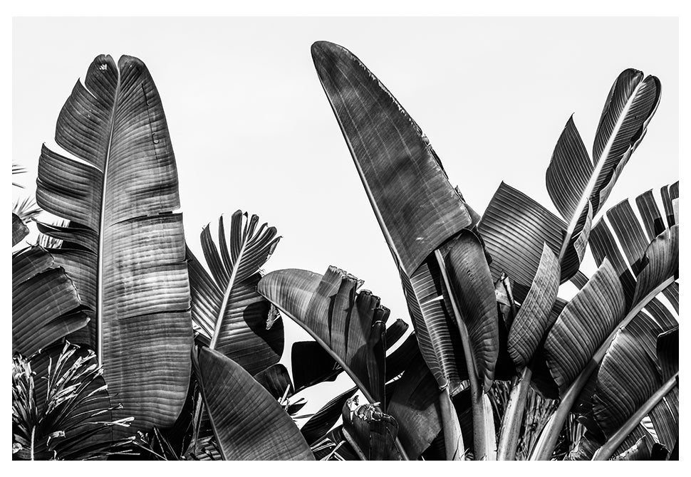 Modern Fine Art Photograph - Silver Skies #2 by Alicia Bock Print Shop - main product image for Resin Society