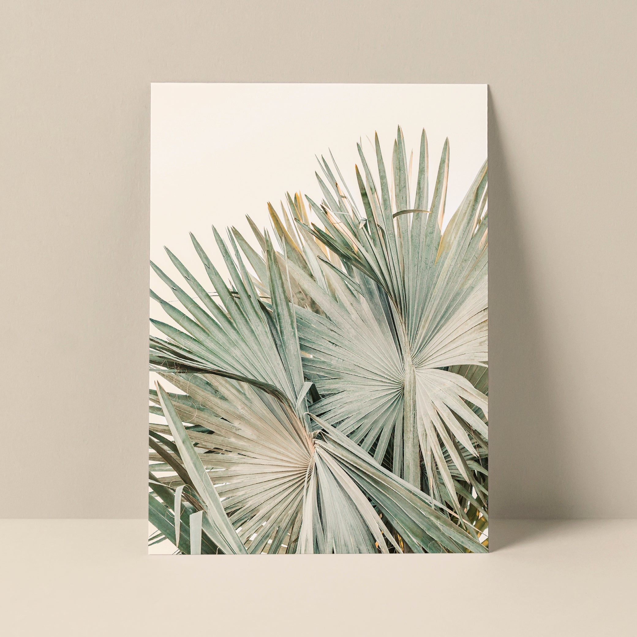 Blank Photography Note Card featuring Alicia Bock's Closer print lying flat on a white surface